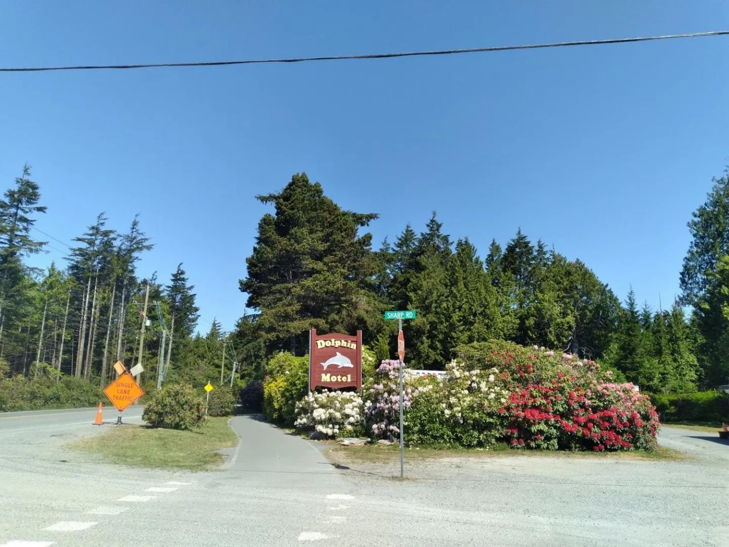 Logo/Certificate/Sign in Dolphin Motel