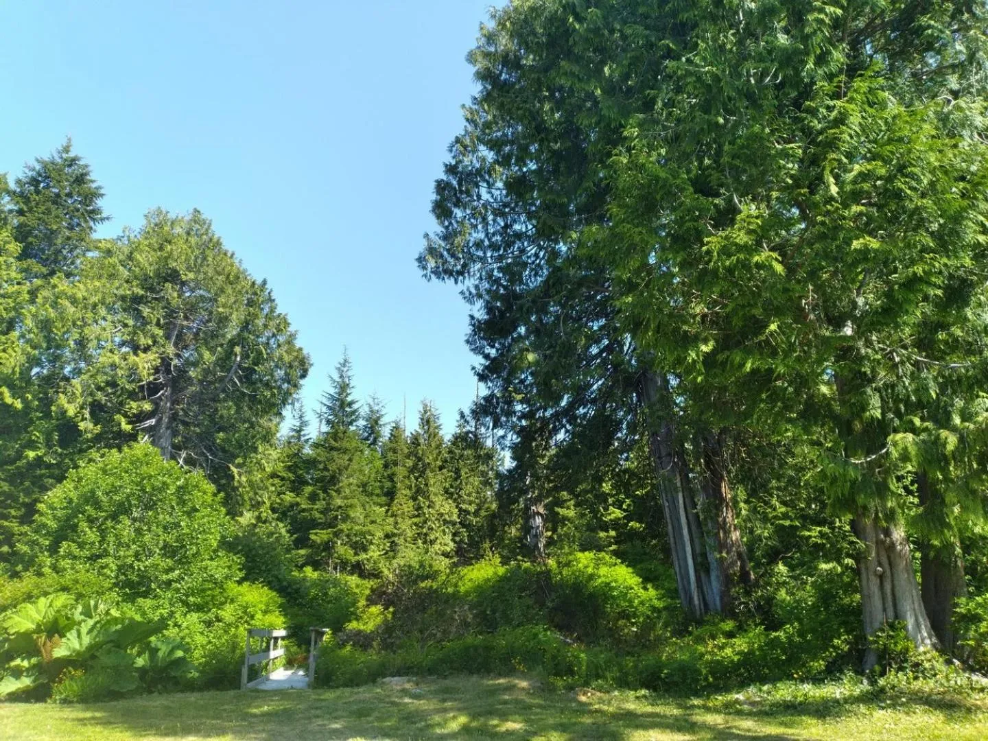 Natural landscape in Dolphin Motel