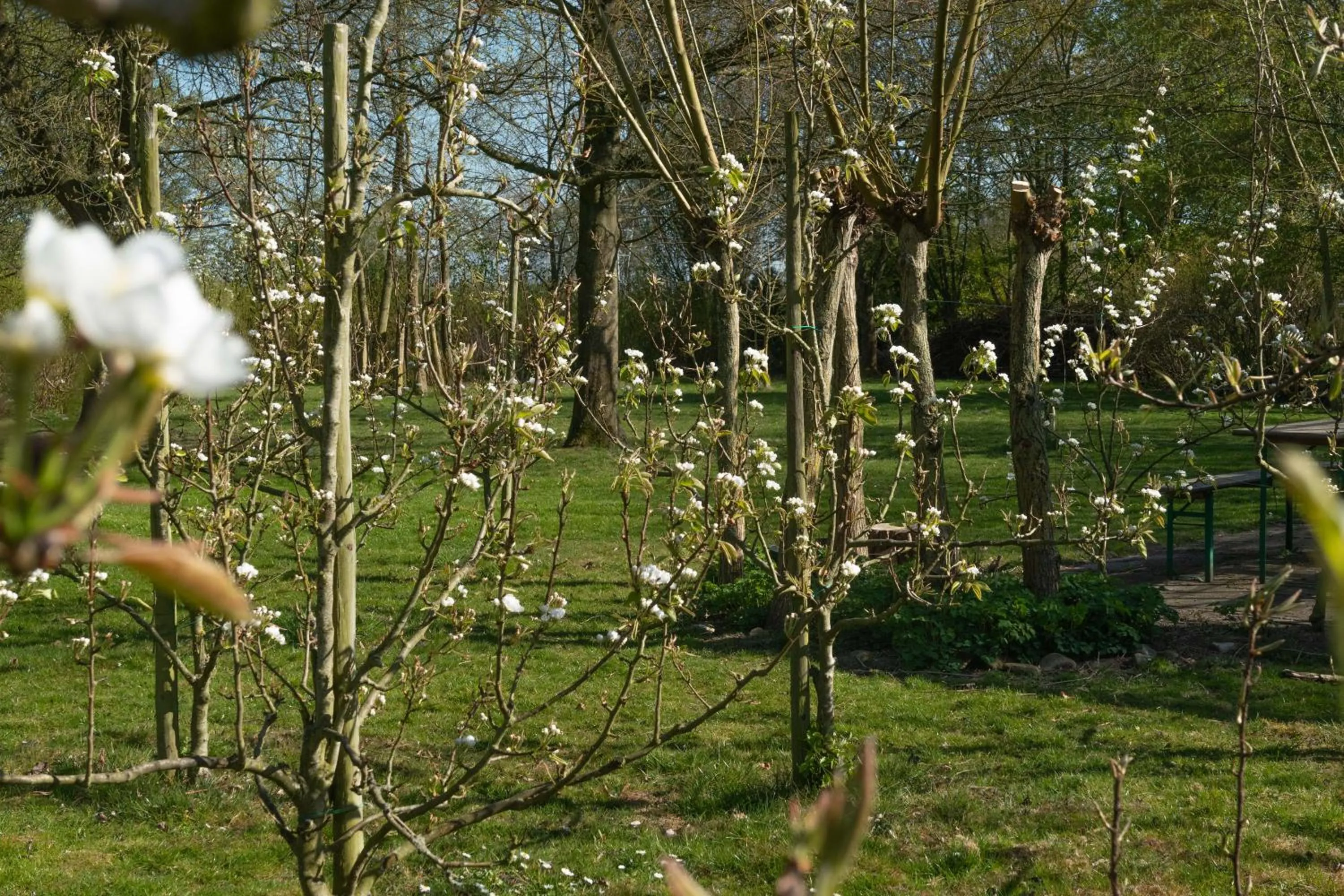Garden in Marenhoeve