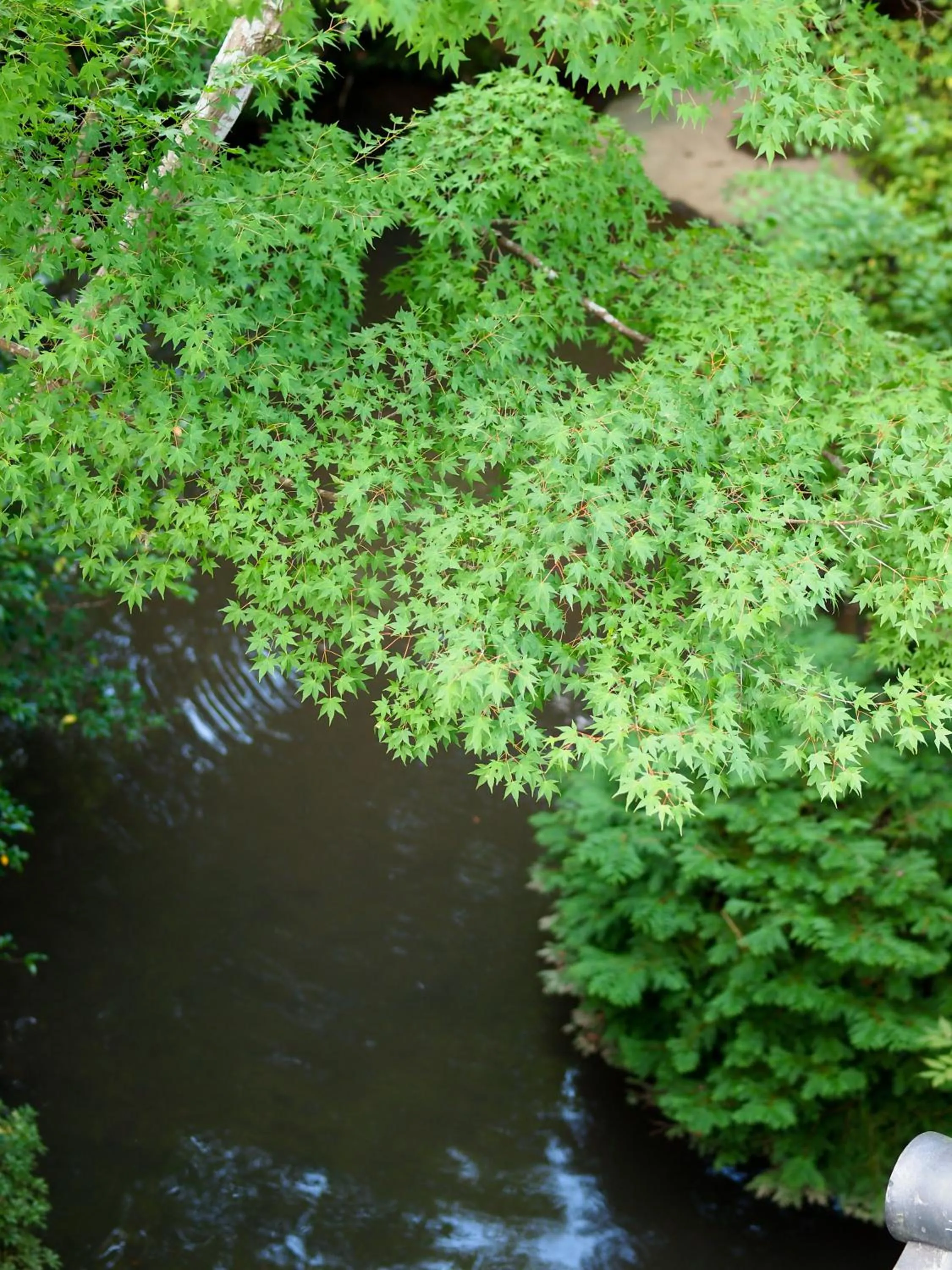 Other in Arai Ryokan