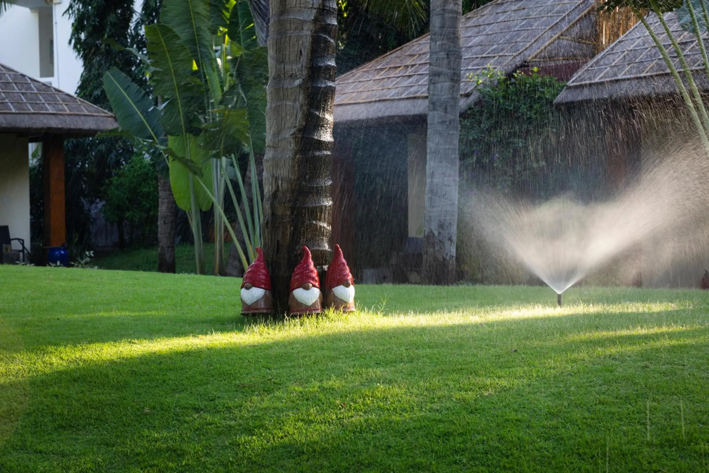 Terracotta Resort & Spa Terracotta Resort & Spa