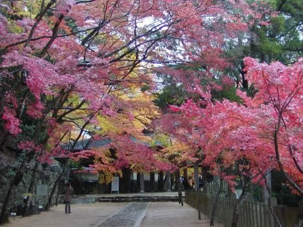 Kitabiwako Hotel Grazie