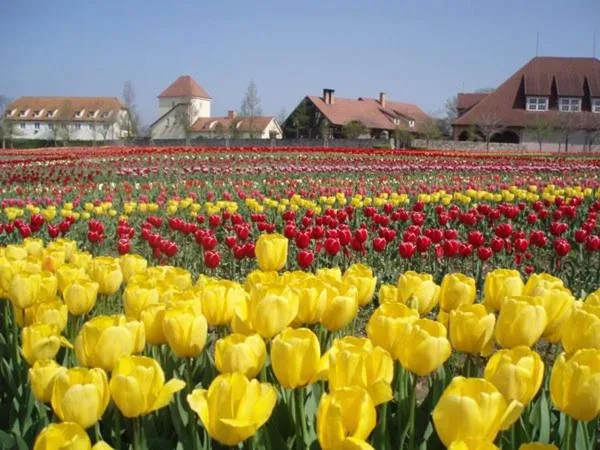 Kitabiwako Hotel Grazie