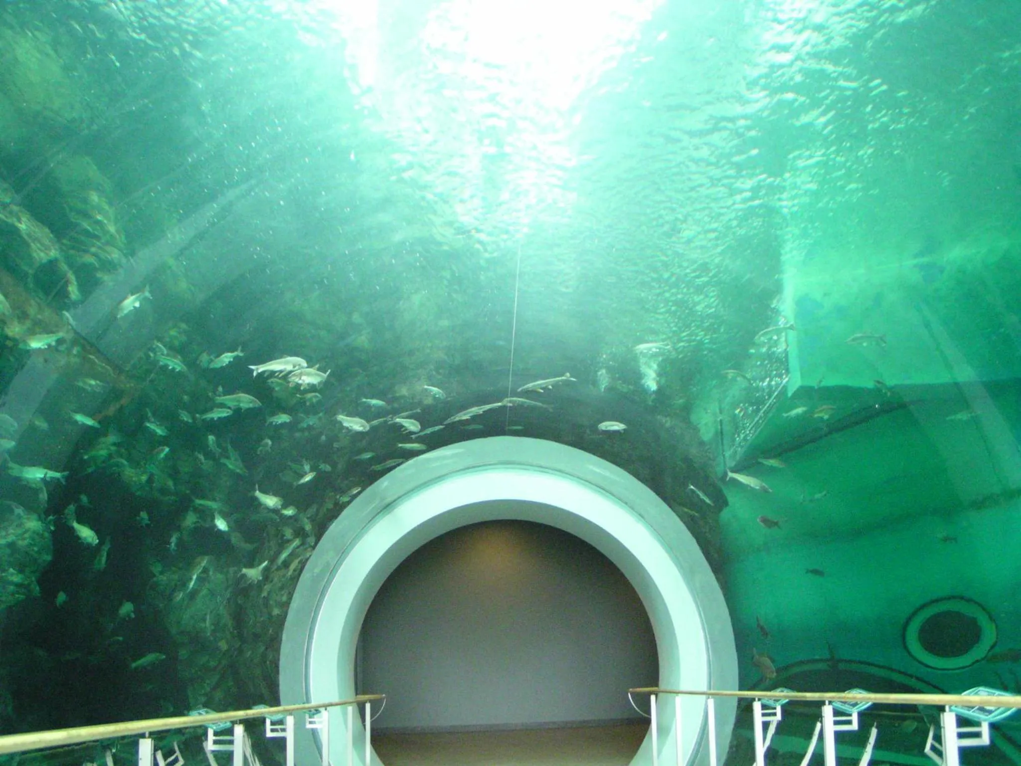 Nearby landmark in Kitabiwako Hotel Grazie