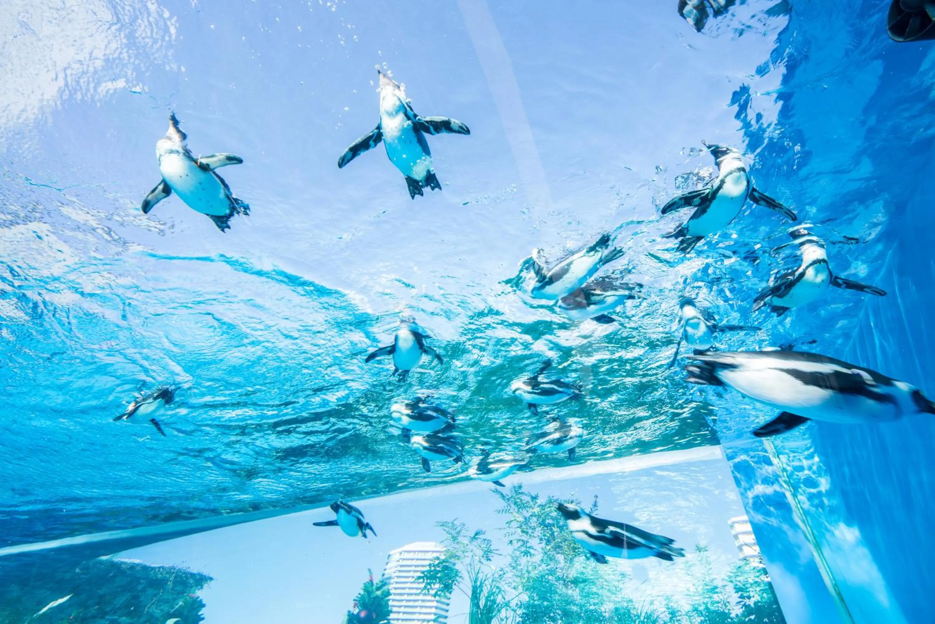 Nearby landmark in HOTEL MYSTAYS Higashi Ikebukuro