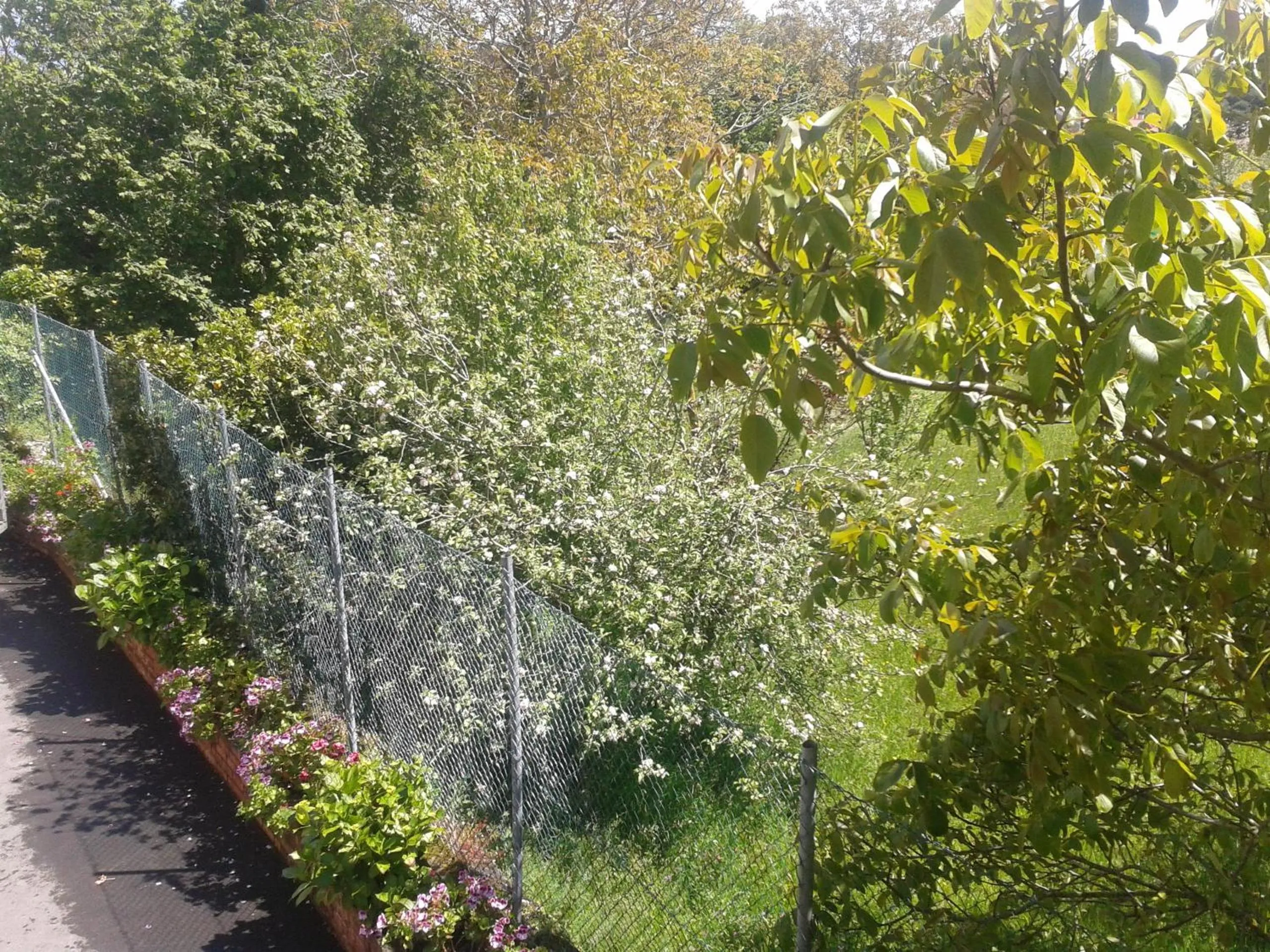 Natural landscape in Hotel Alonso