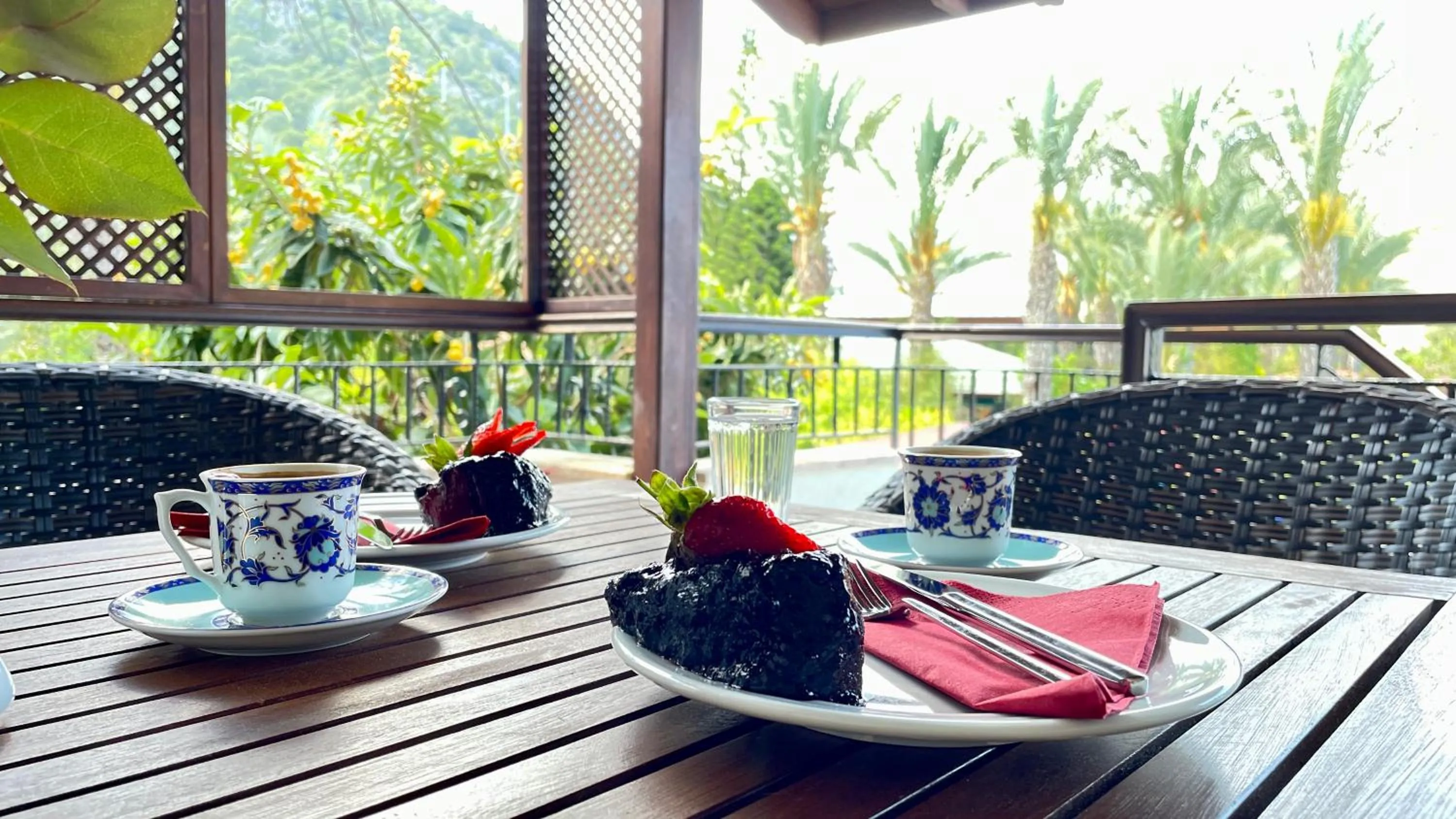Balcony/Terrace in Aida Hotel
