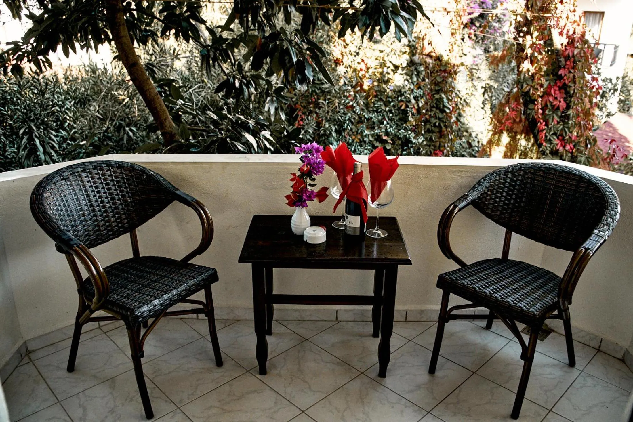 Balcony/Terrace in Aida Hotel