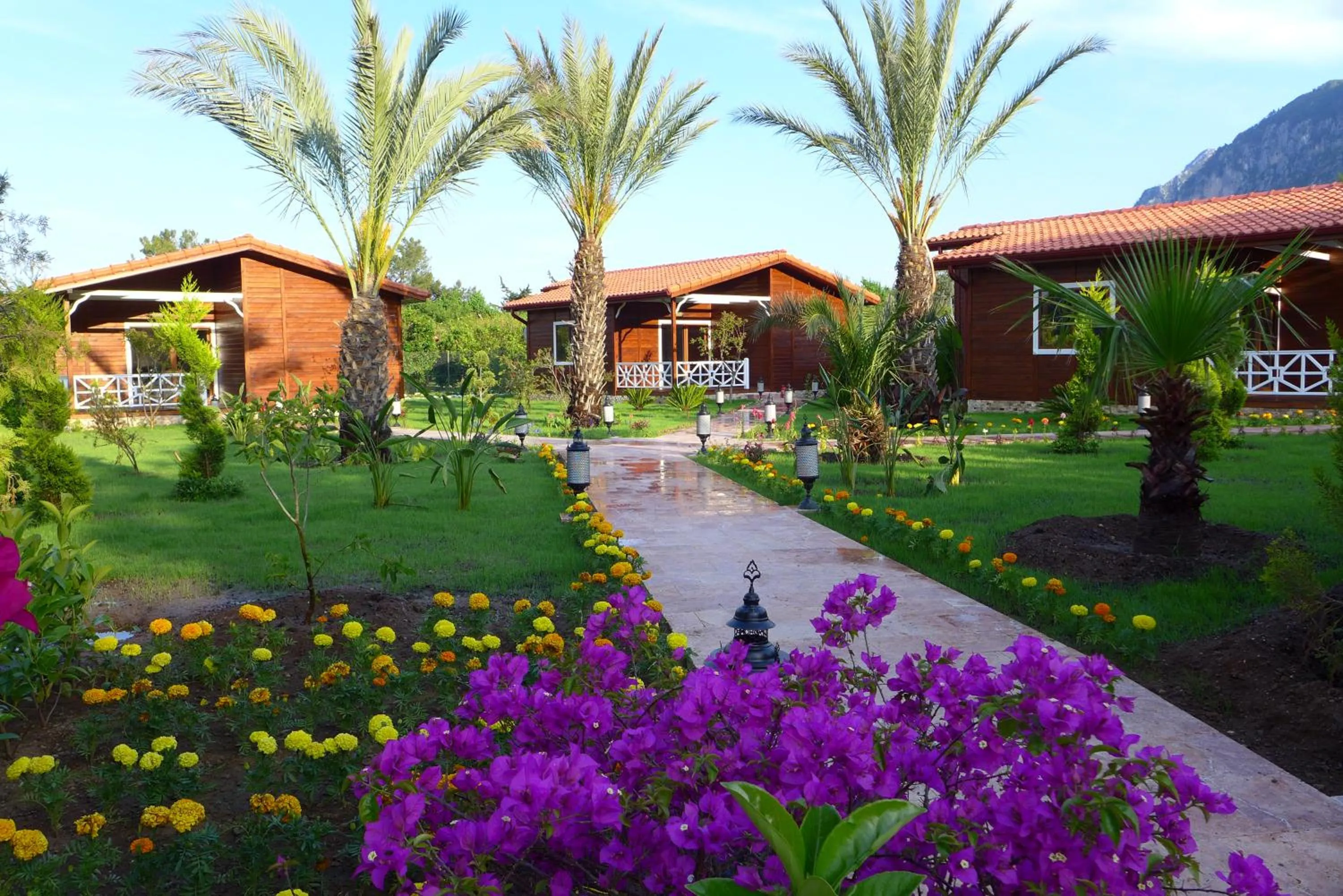 Garden in Aida Hotel