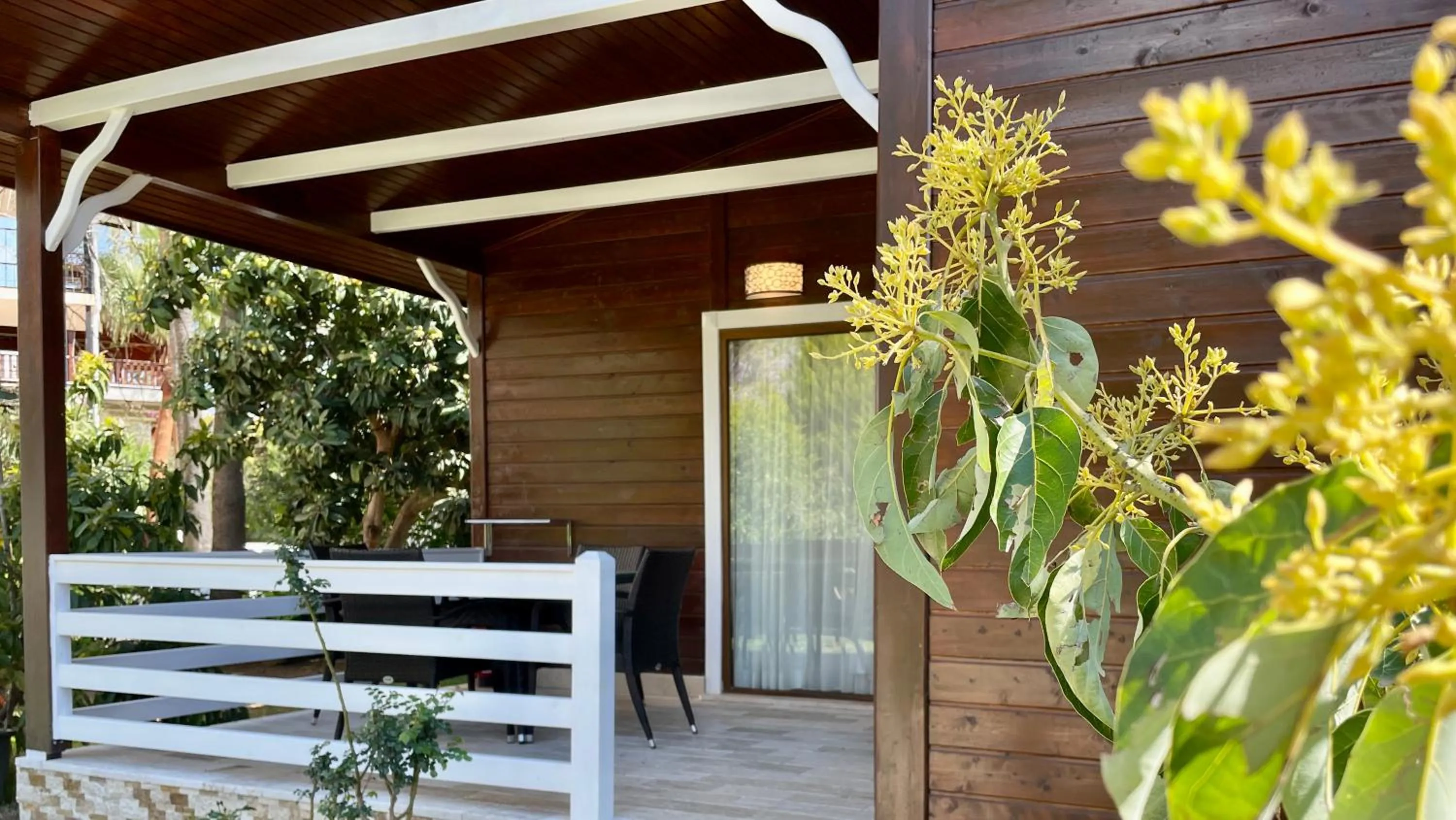 Balcony/Terrace in Aida Hotel