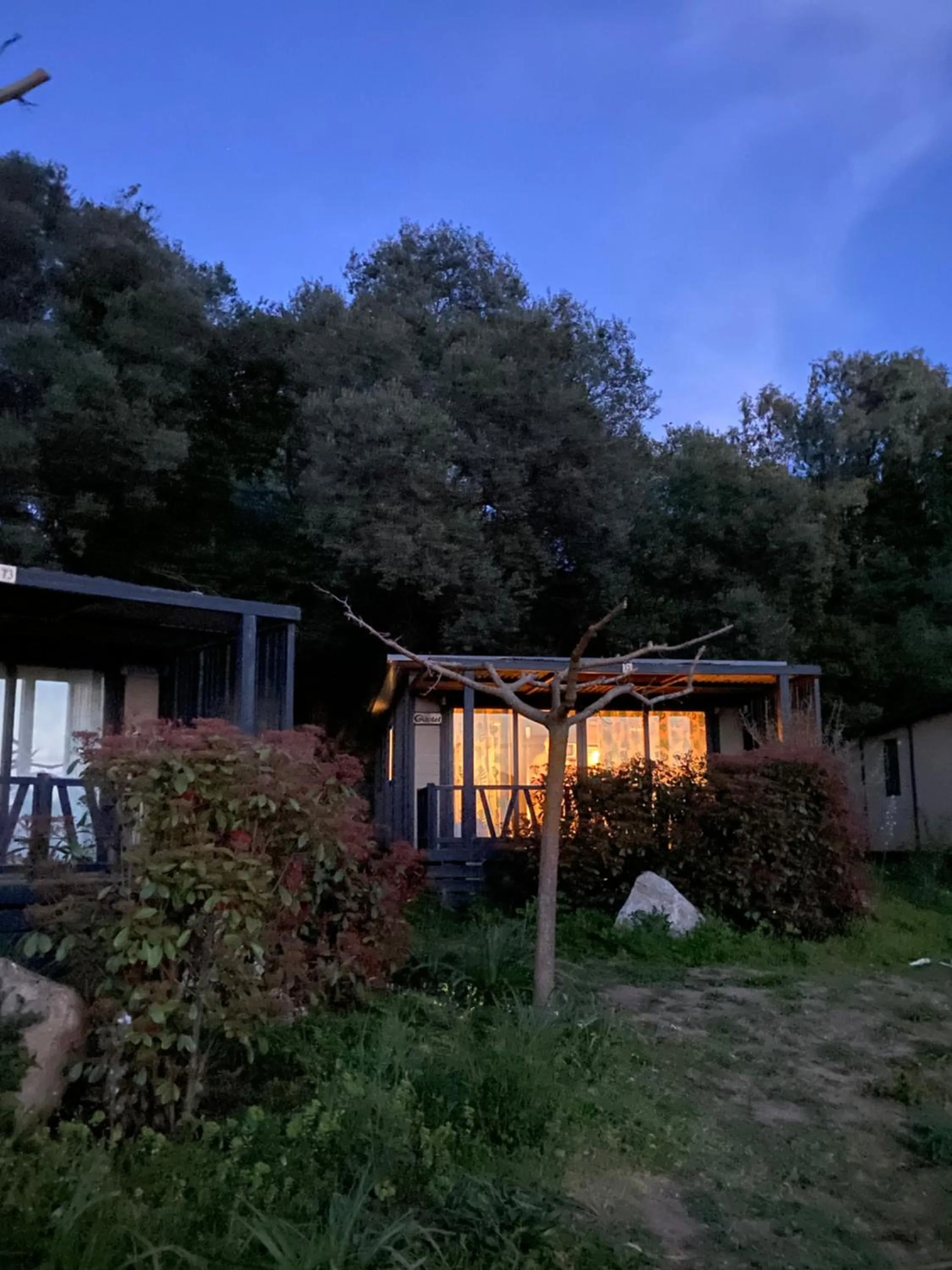 Garden in Vigna Maggiore