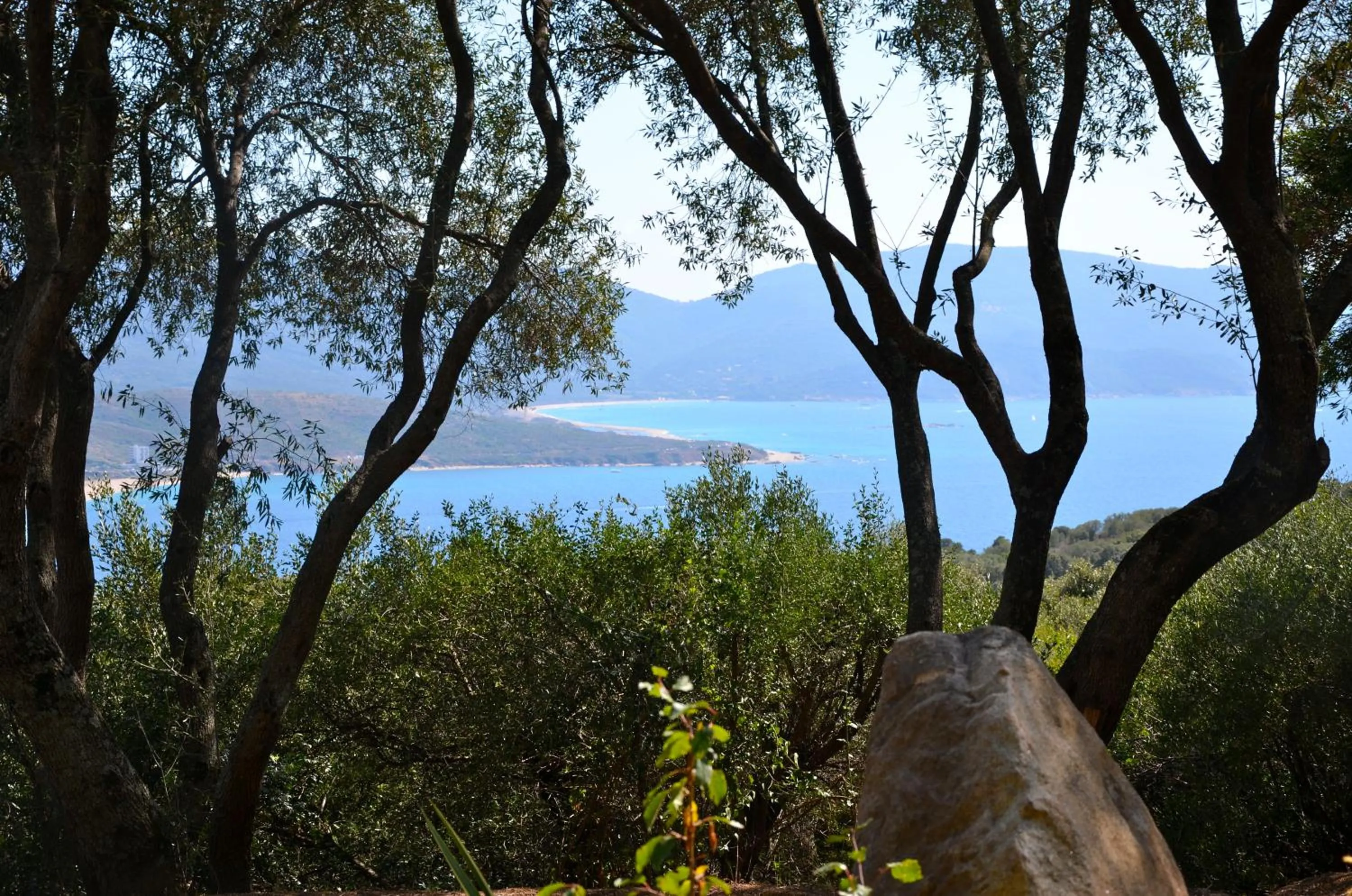 Natural landscape in Vigna Maggiore