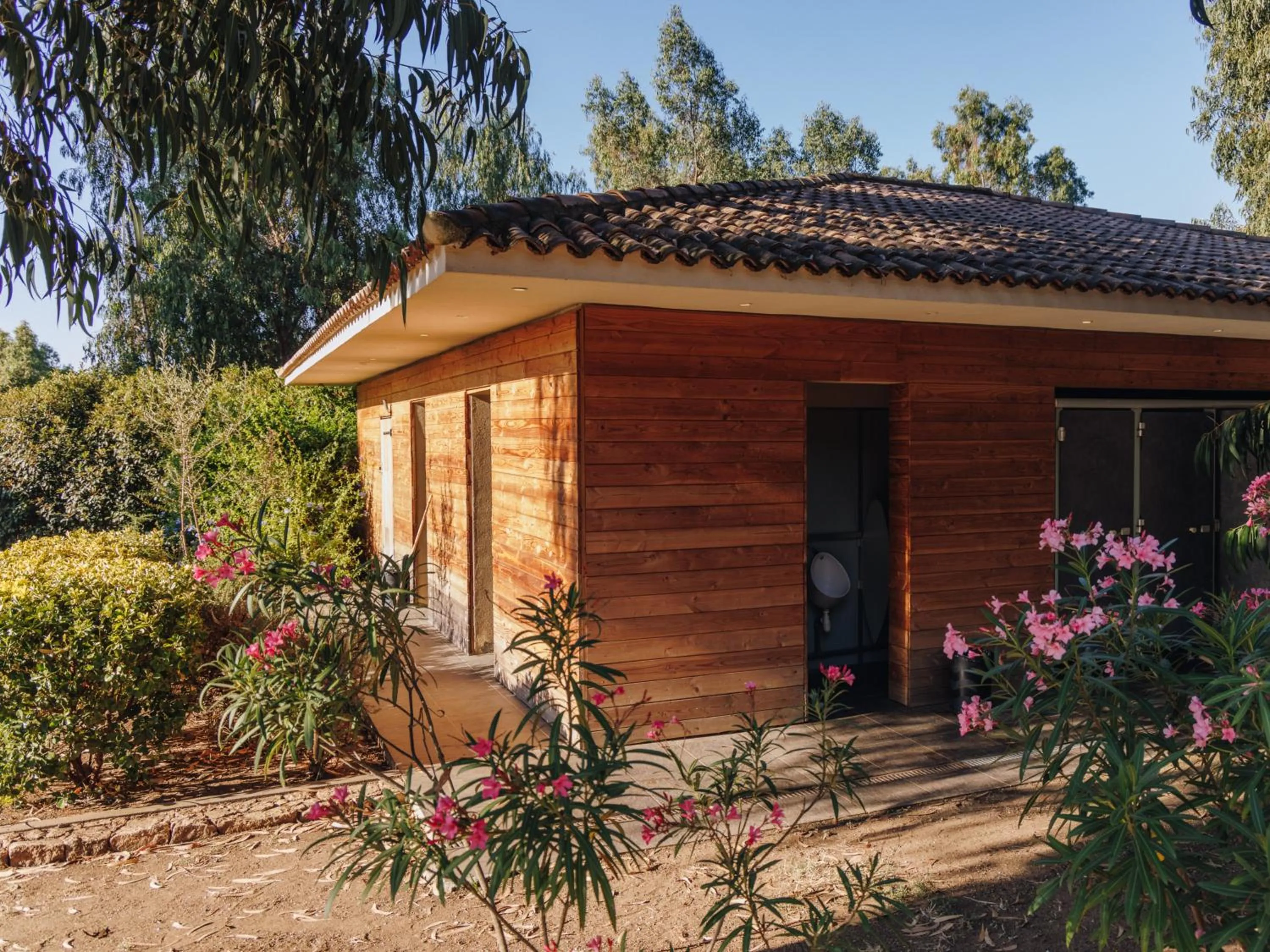 Bathroom in Vigna Maggiore
