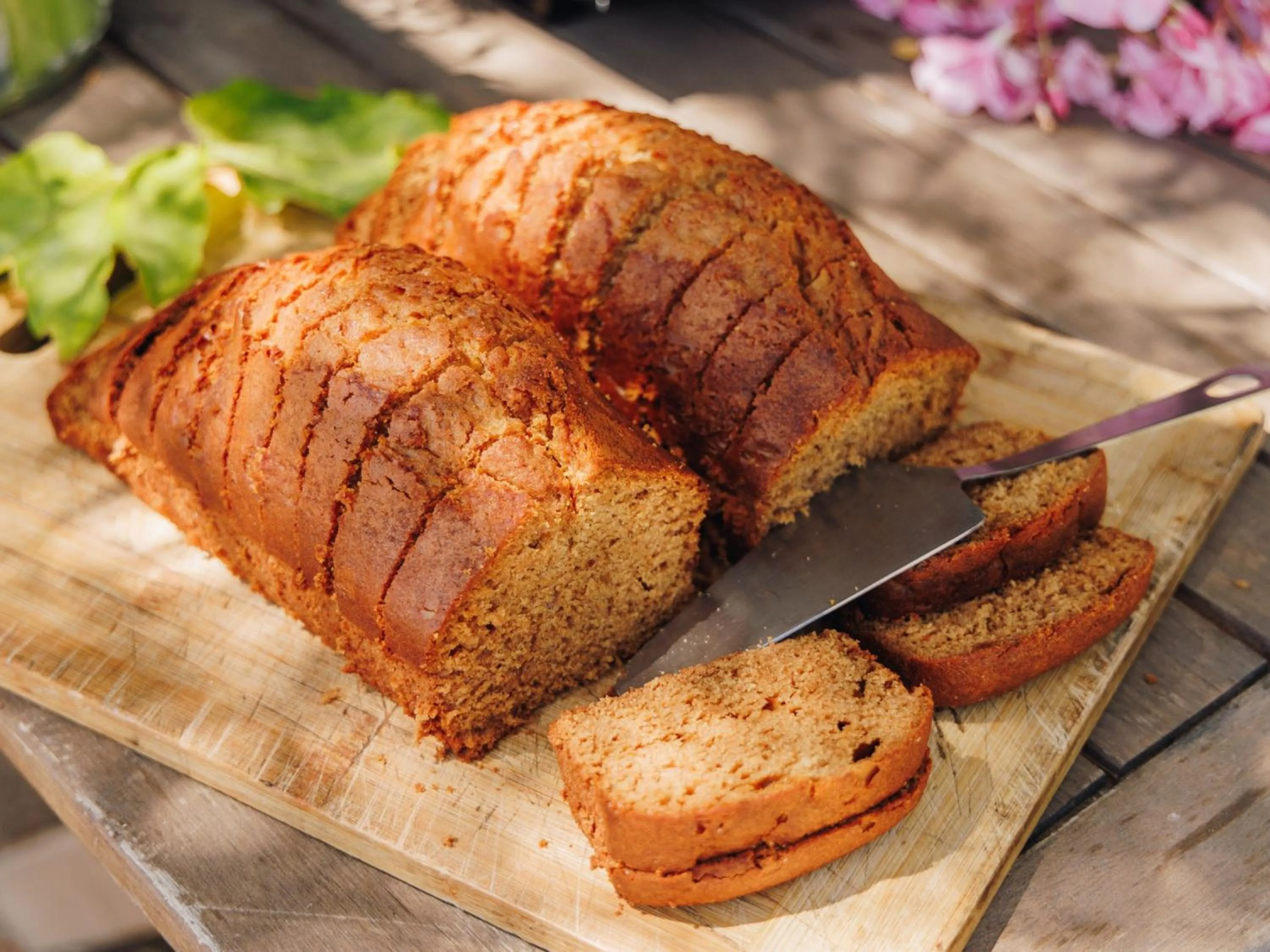 Restaurant/places to eat in Vigna Maggiore