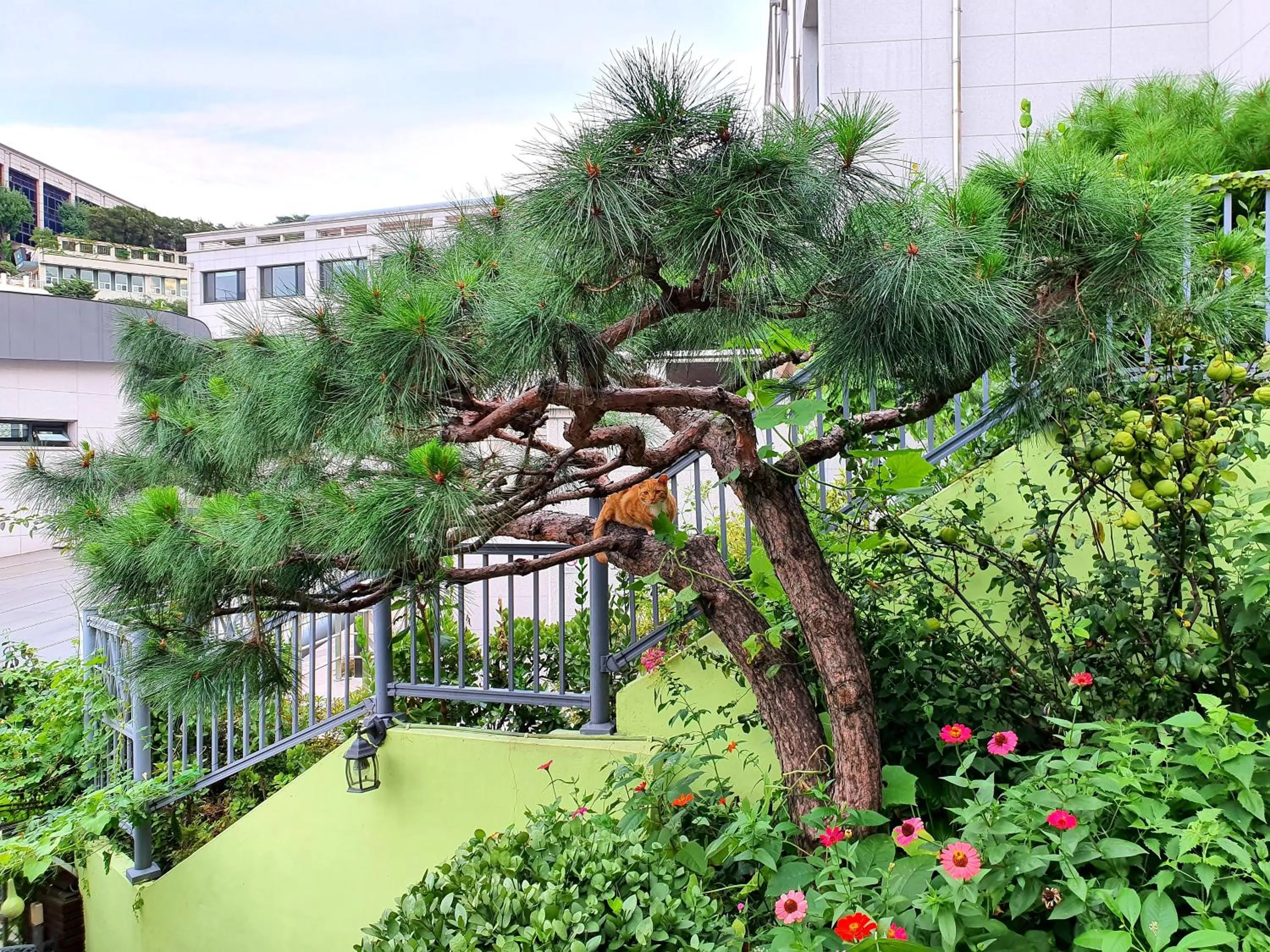 Property building in Happy Garden Guesthouse