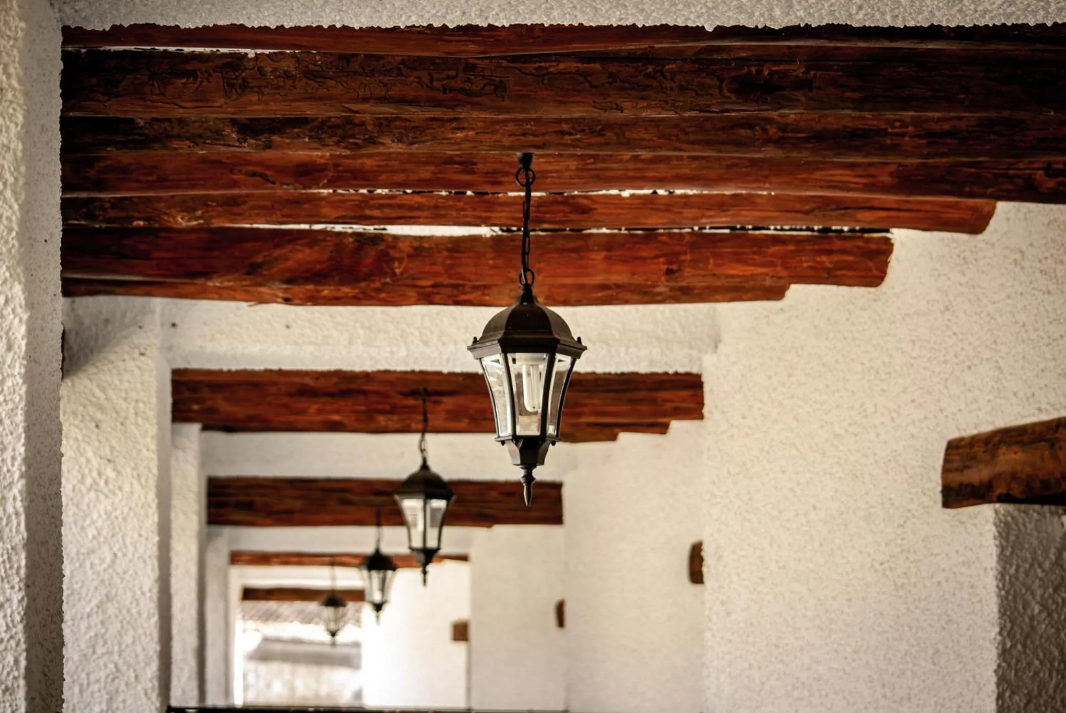 Decorative detail in Hotel La Fragua II