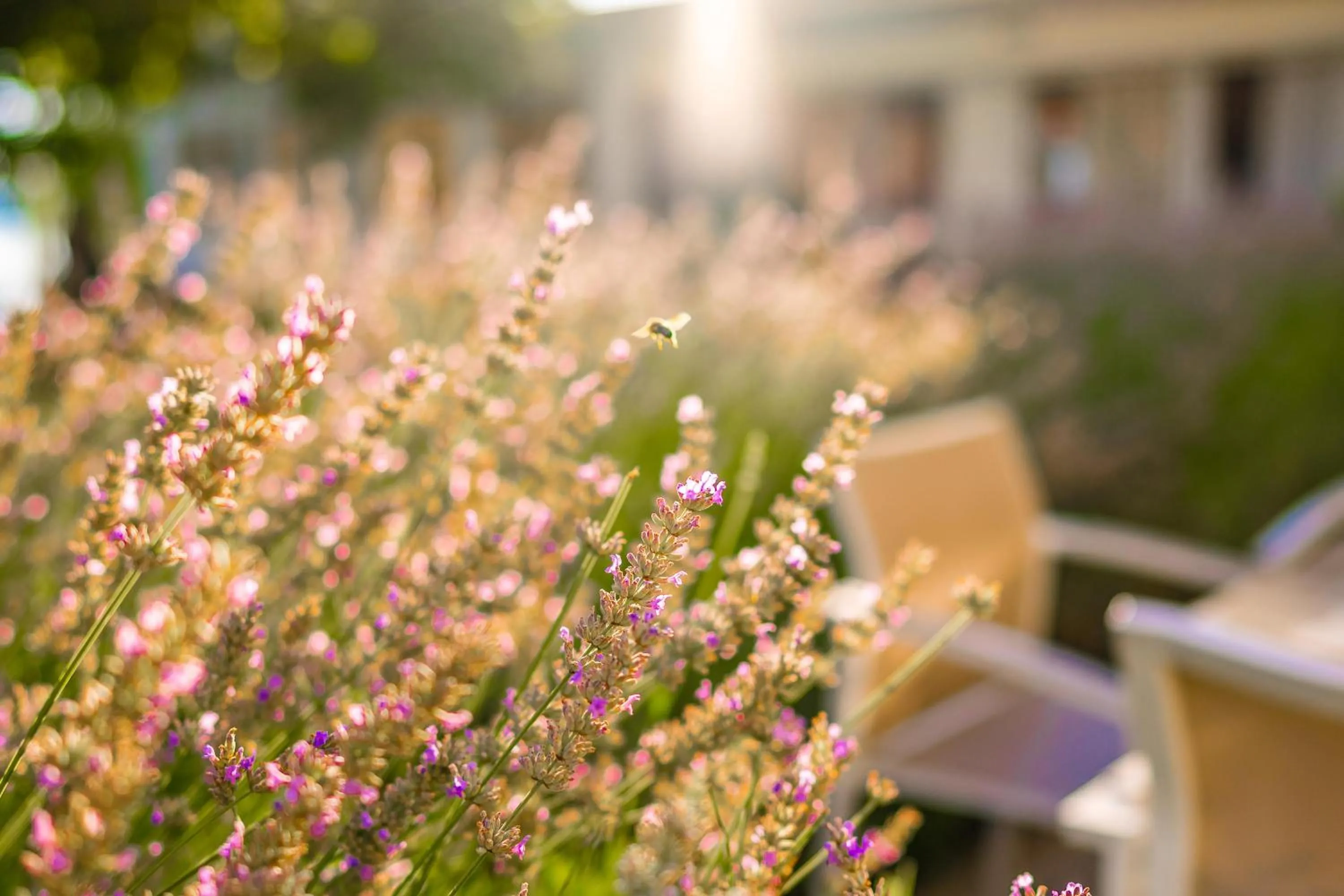 Garden in Strandhotel Kärntnerhof