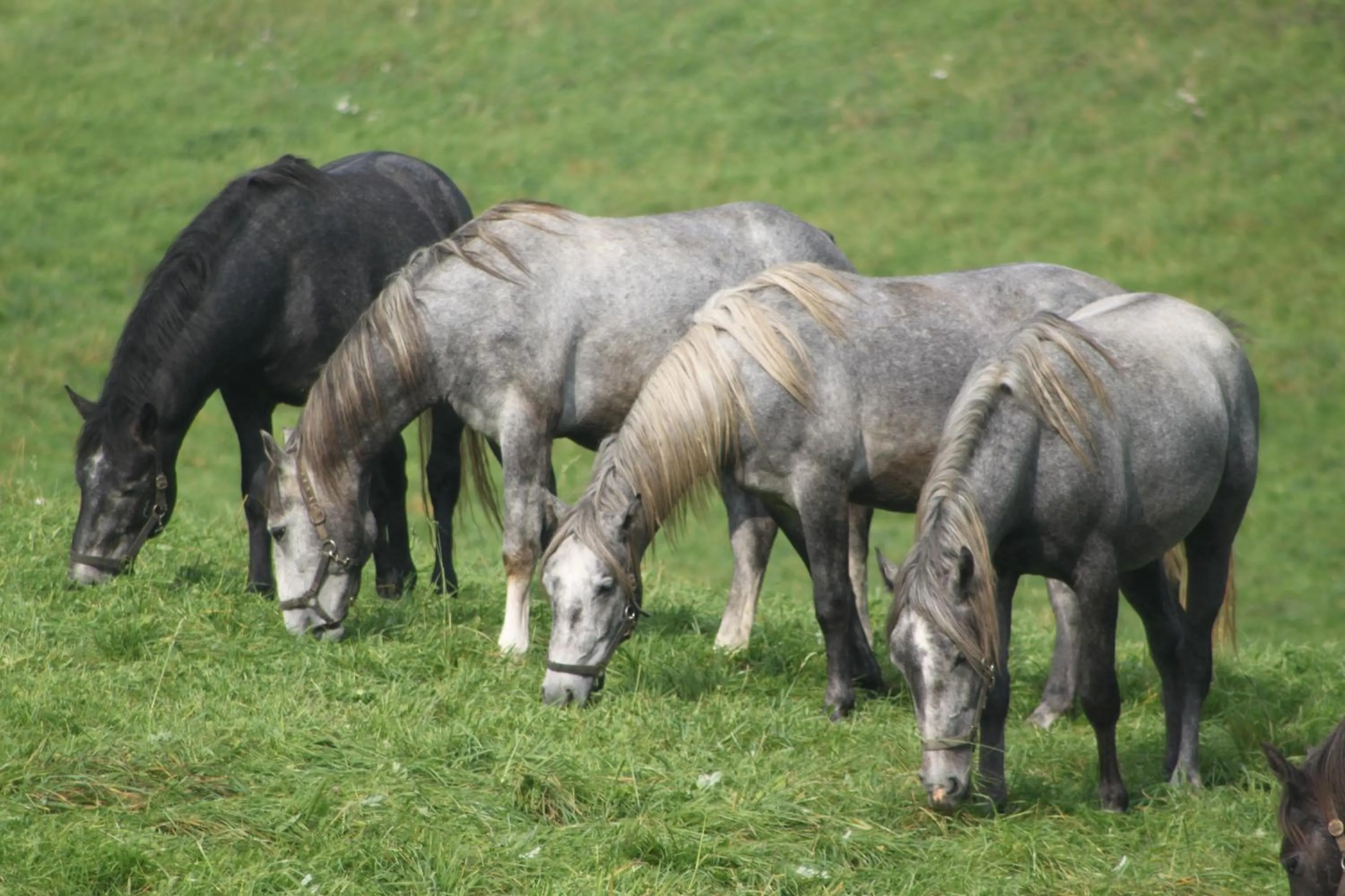 Nearby landmark in Hotel Braun