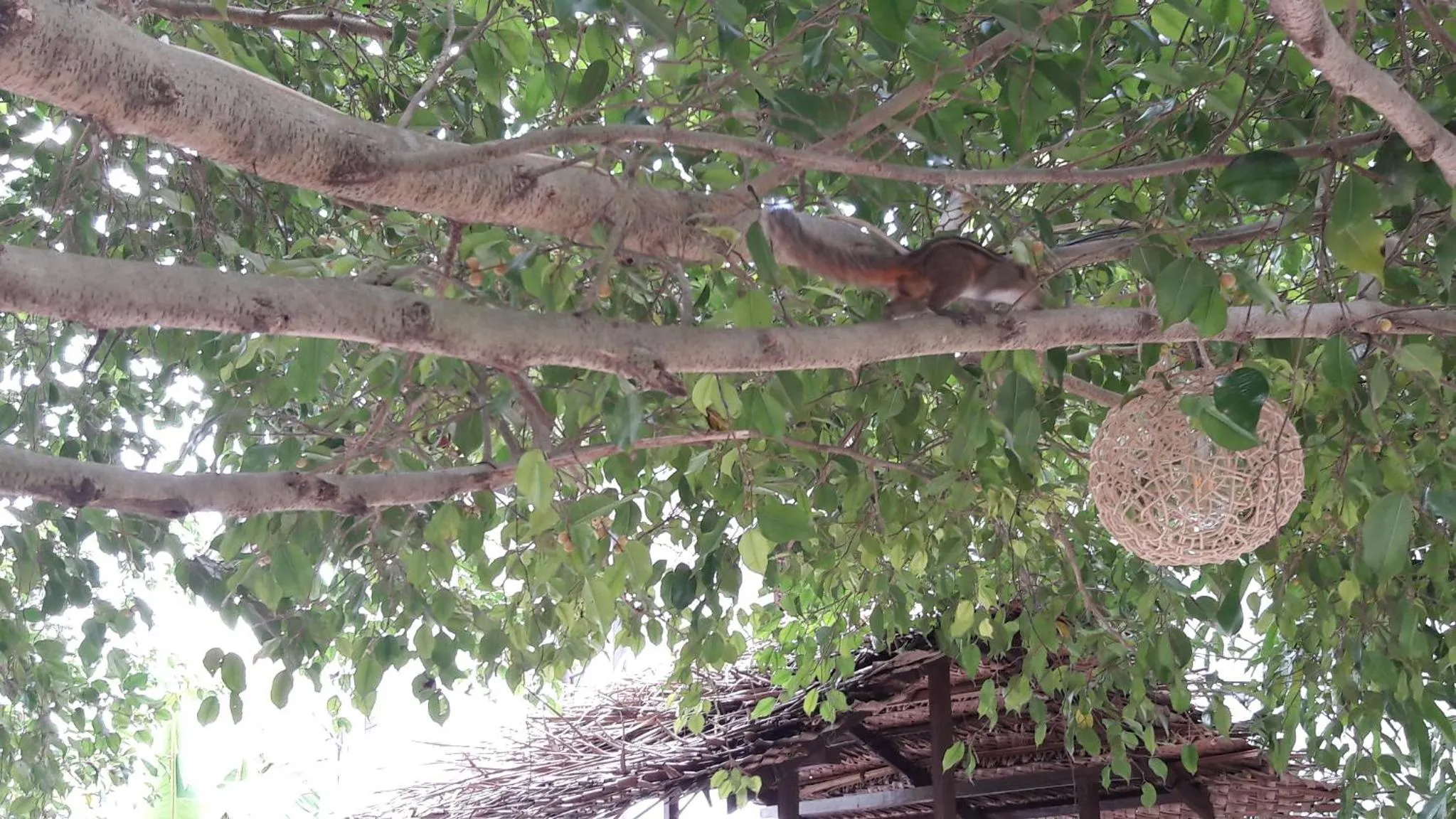 Spring in Amazing Villa