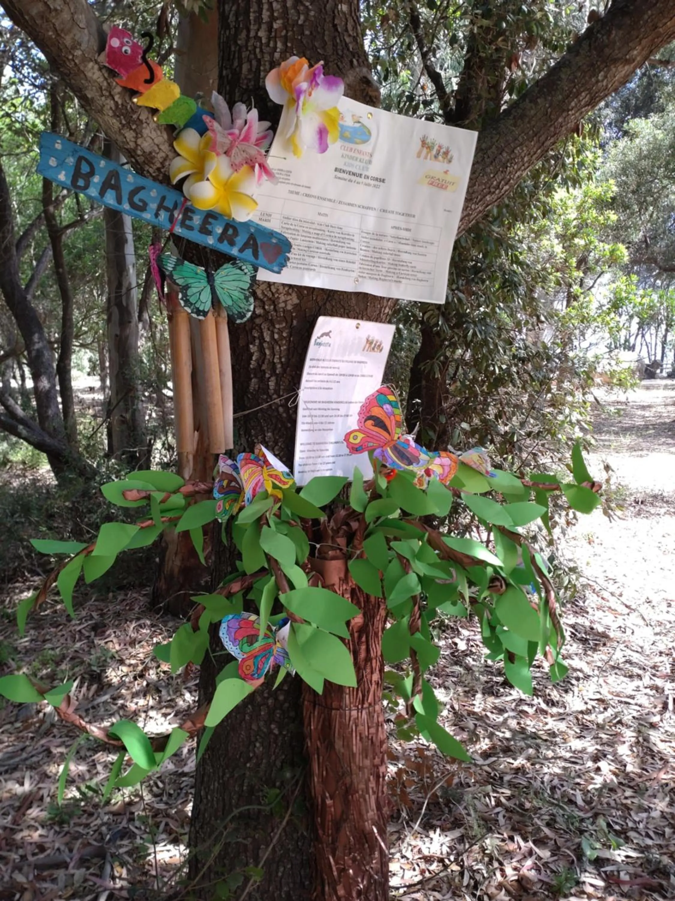 Kids's club in BAGHEERA Village Naturiste