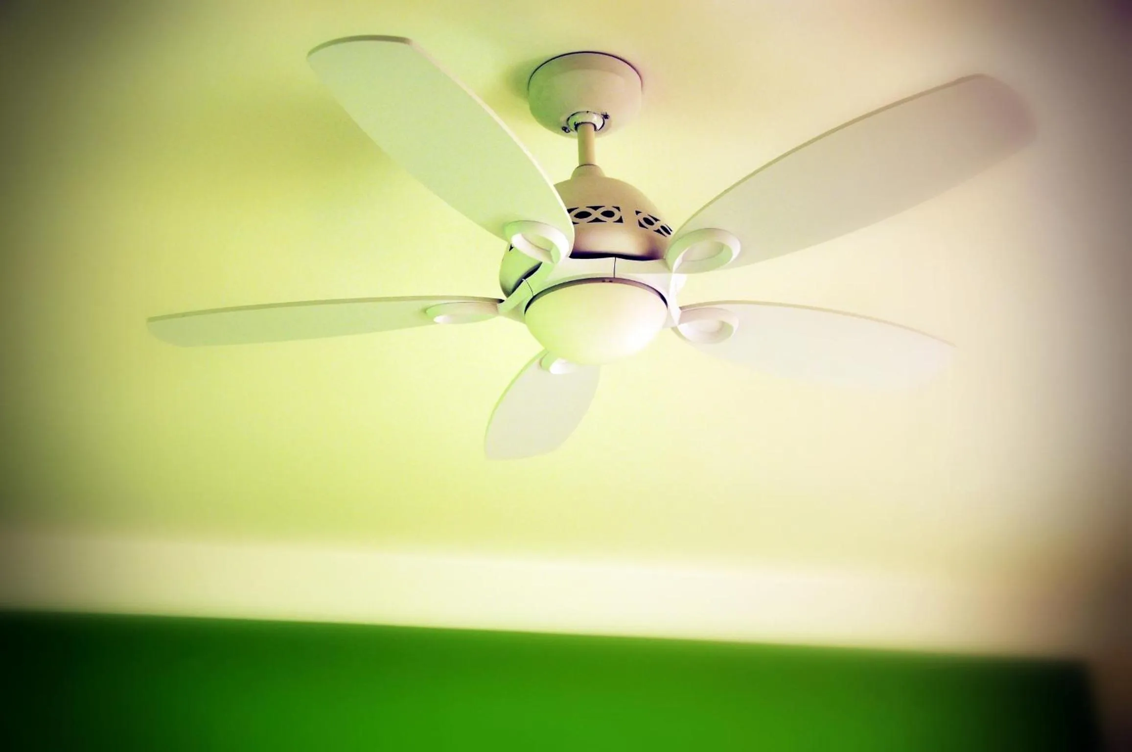 Decorative detail in Natura Amon