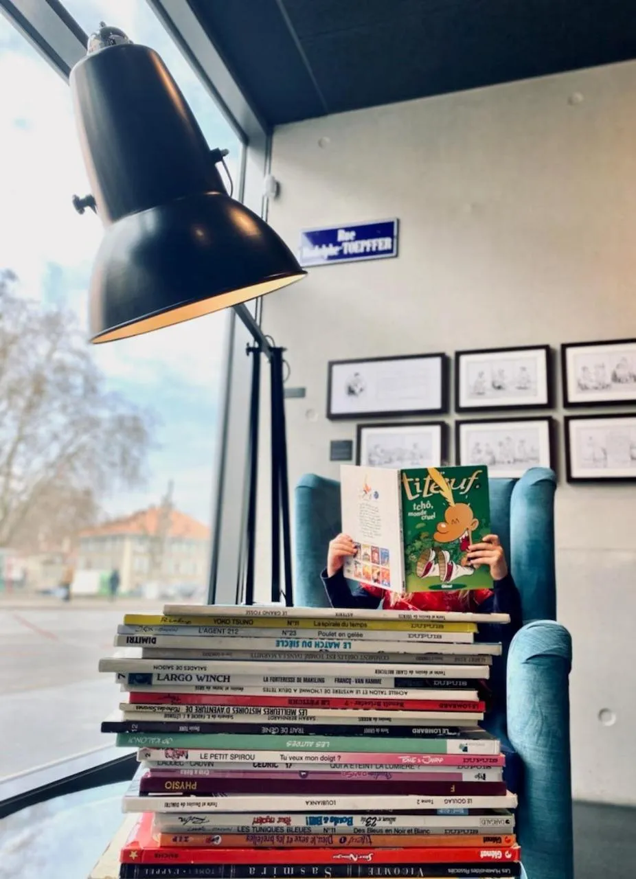 Library in ibis Styles Genève Carouge