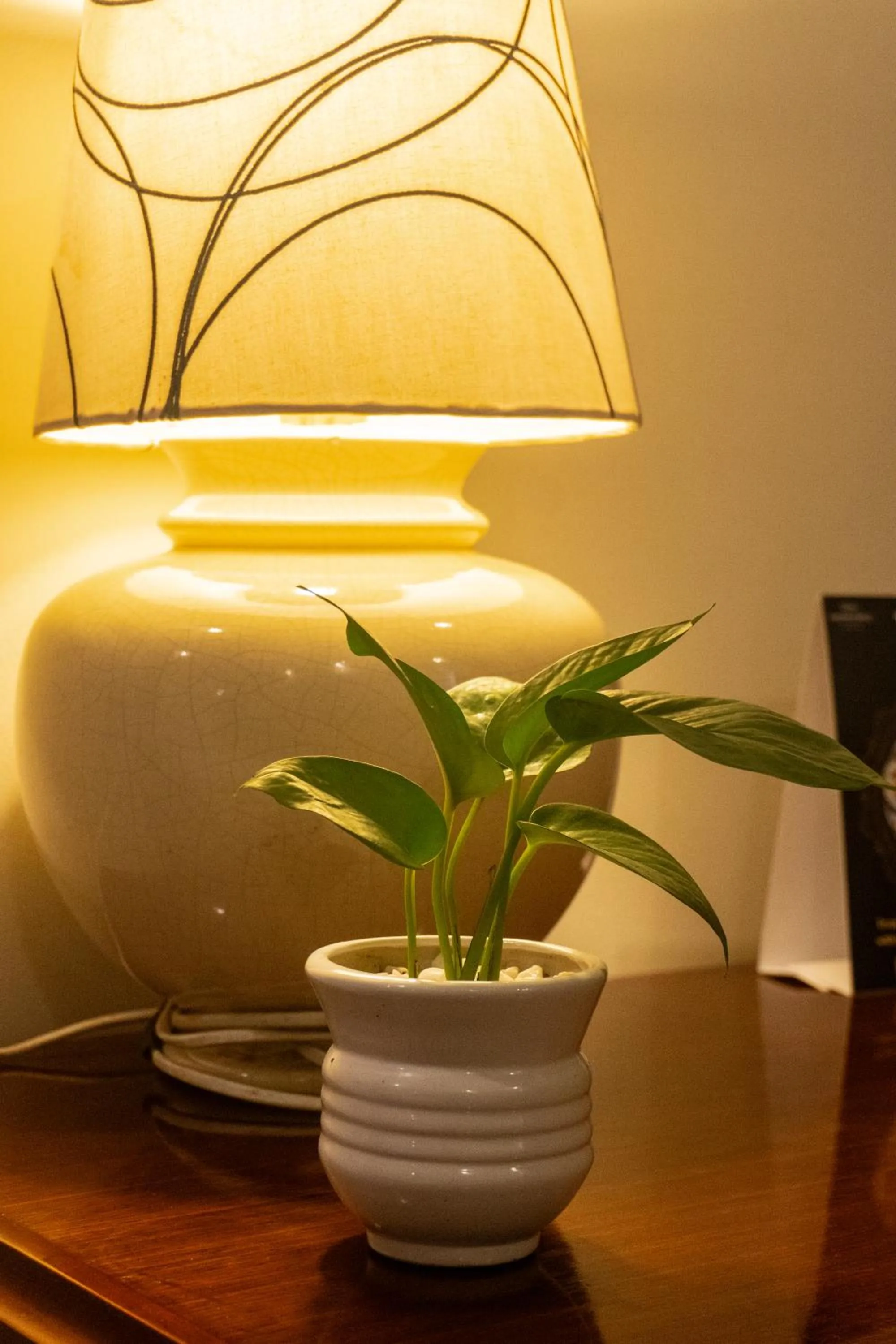 Decorative detail in Classic Sarovar Portico Trivandrum