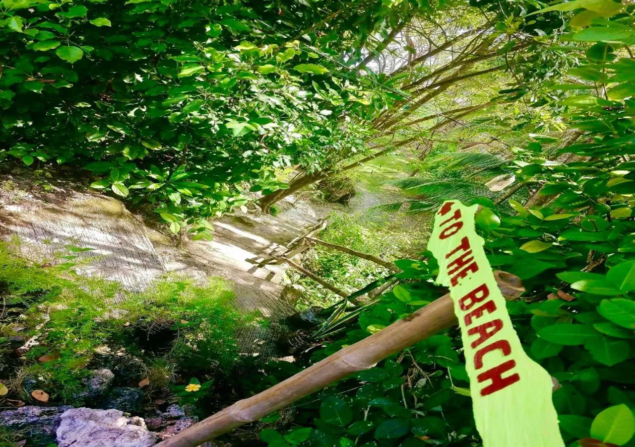 Day in La Villa Alta