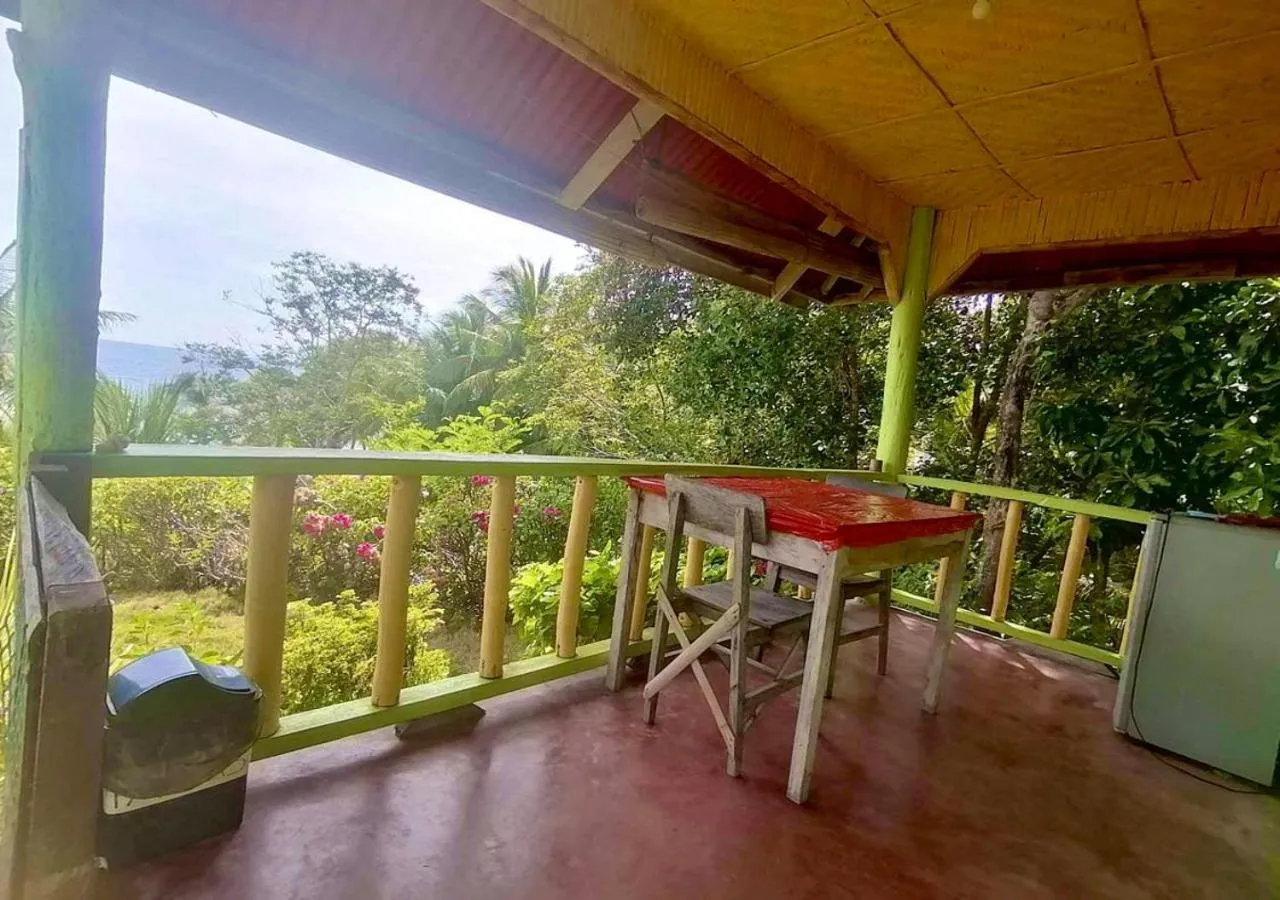 View (from property/room) in La Villa Alta