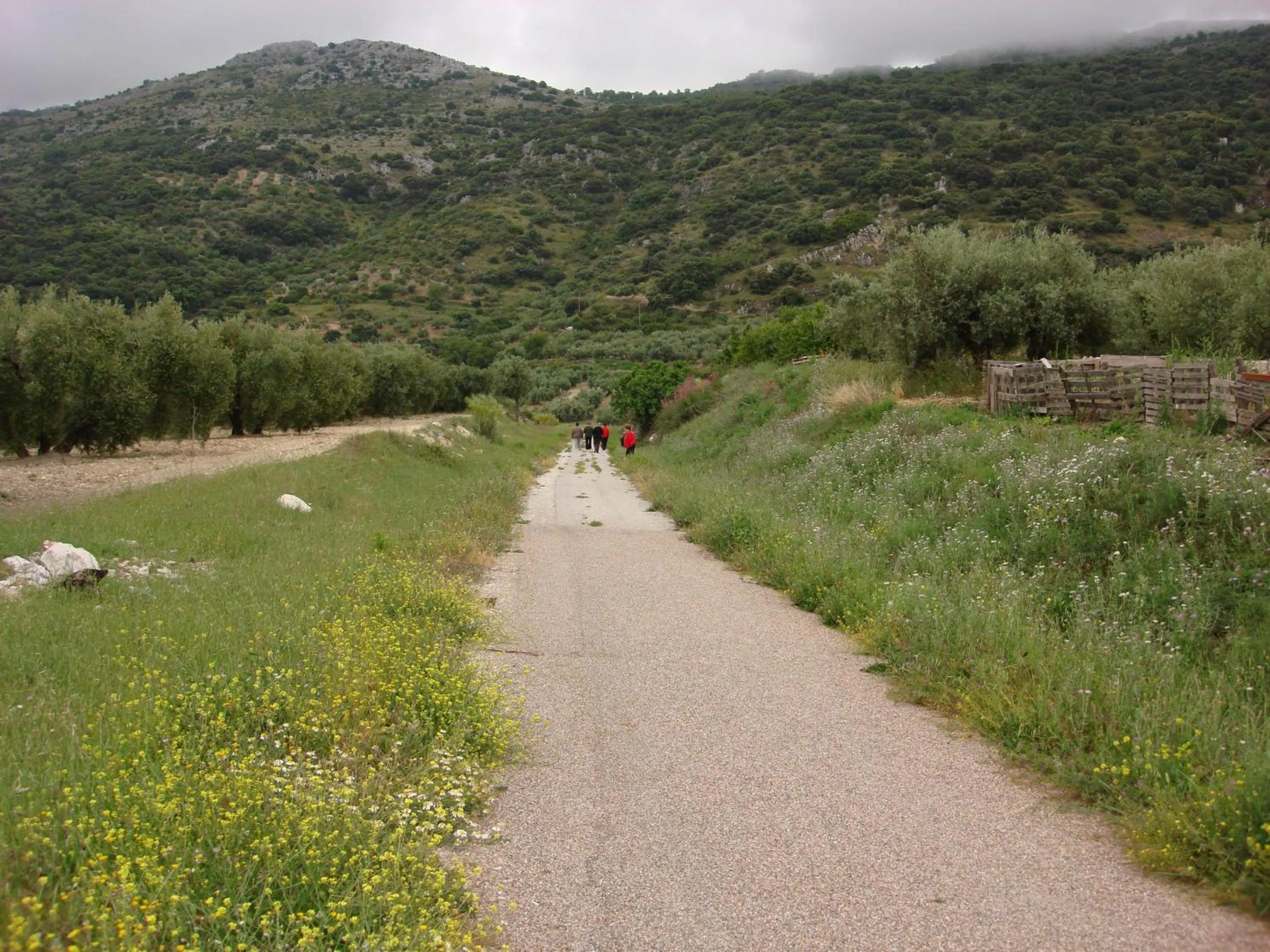 Hiking in Hotel Mencia Subbética