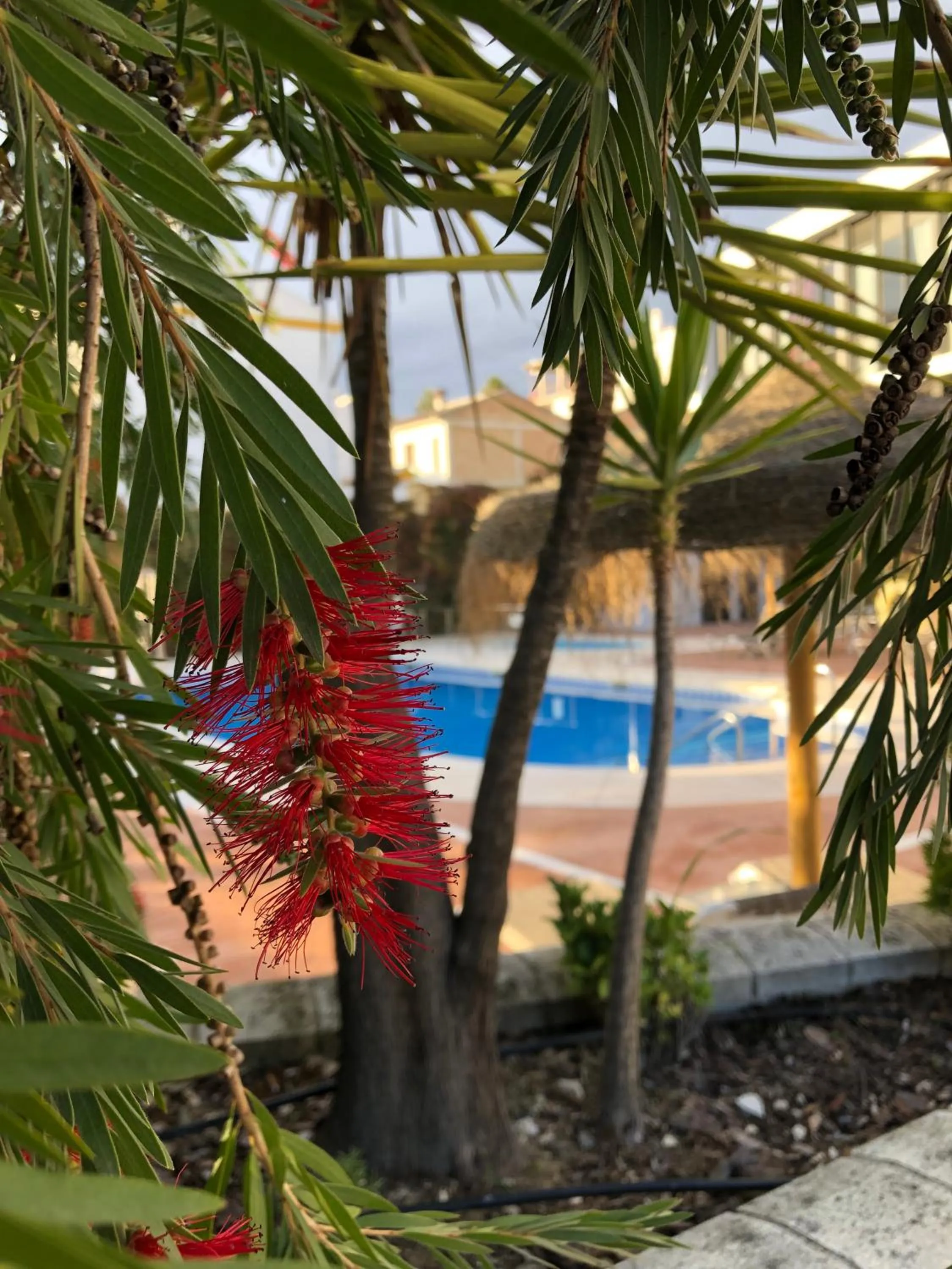 Pool view in Hotel Mencia Subbética
