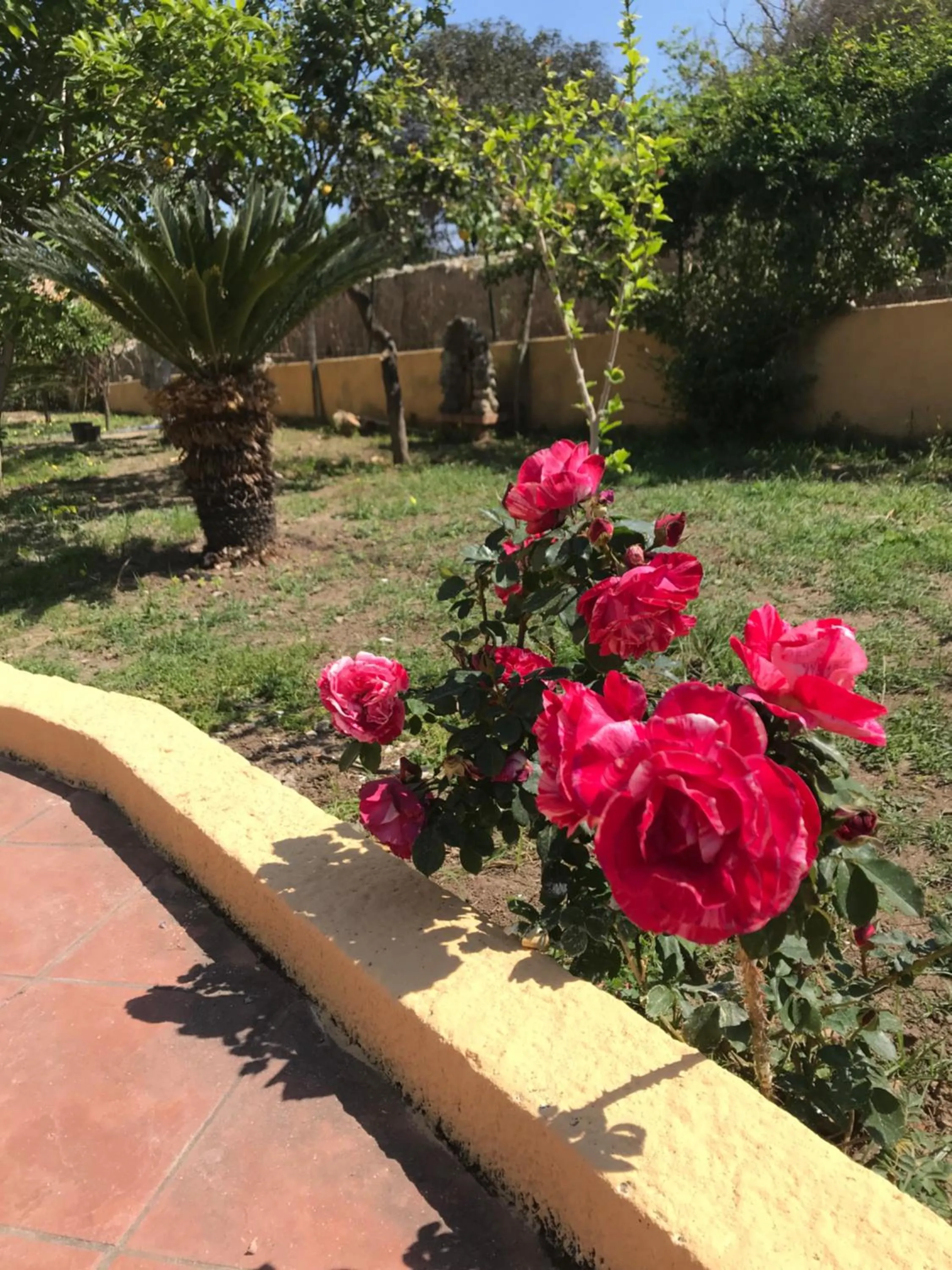 Garden in Villa Saturno