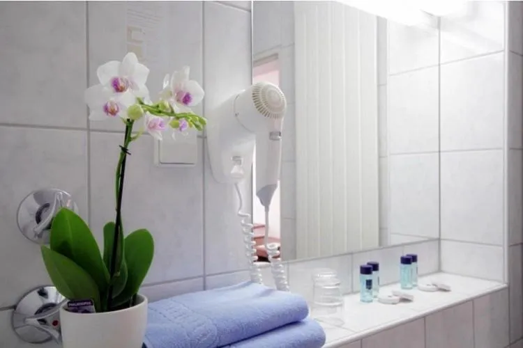 Shower in Hotel Regina