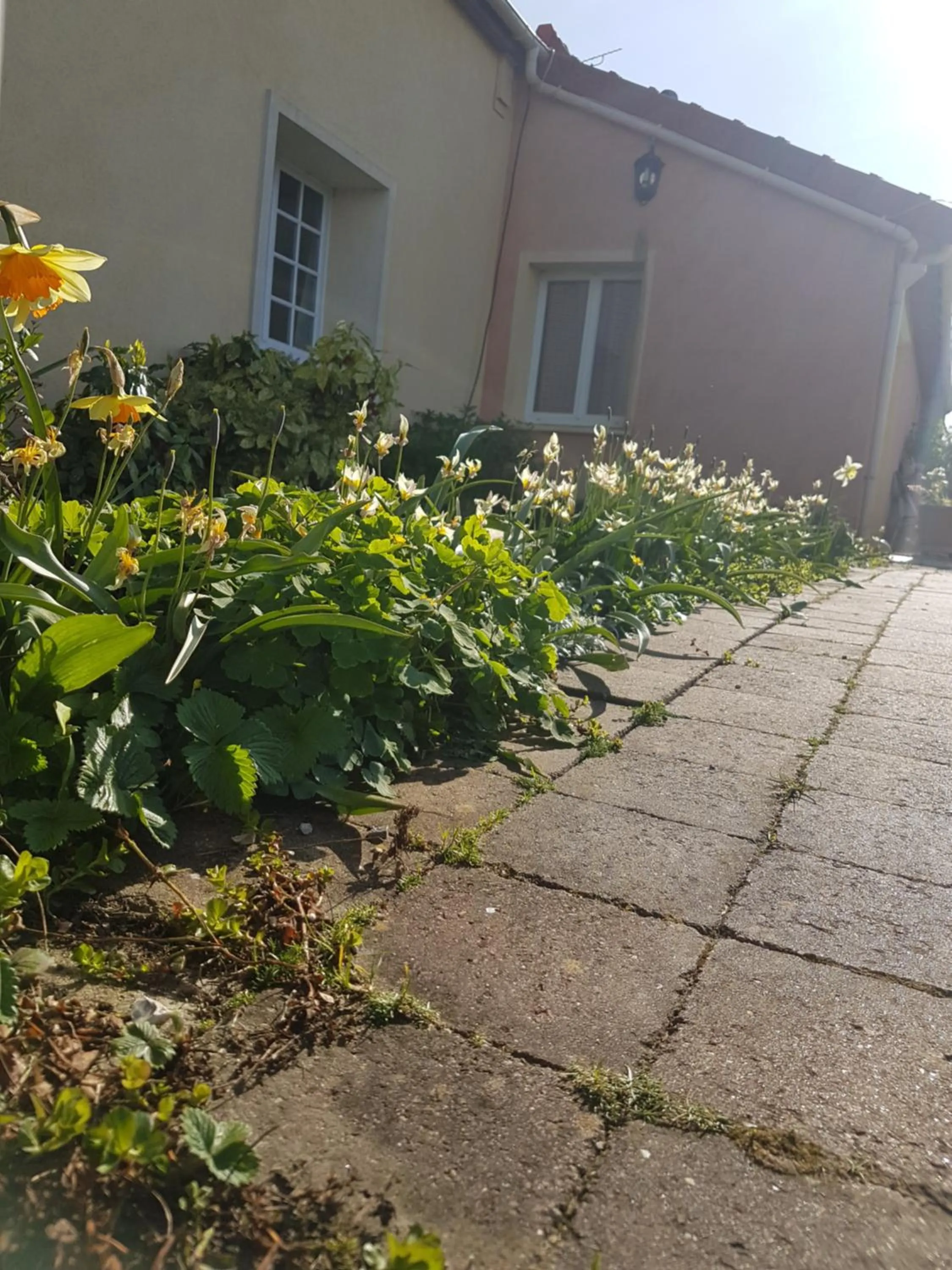 Garden in Le clos de Tournes