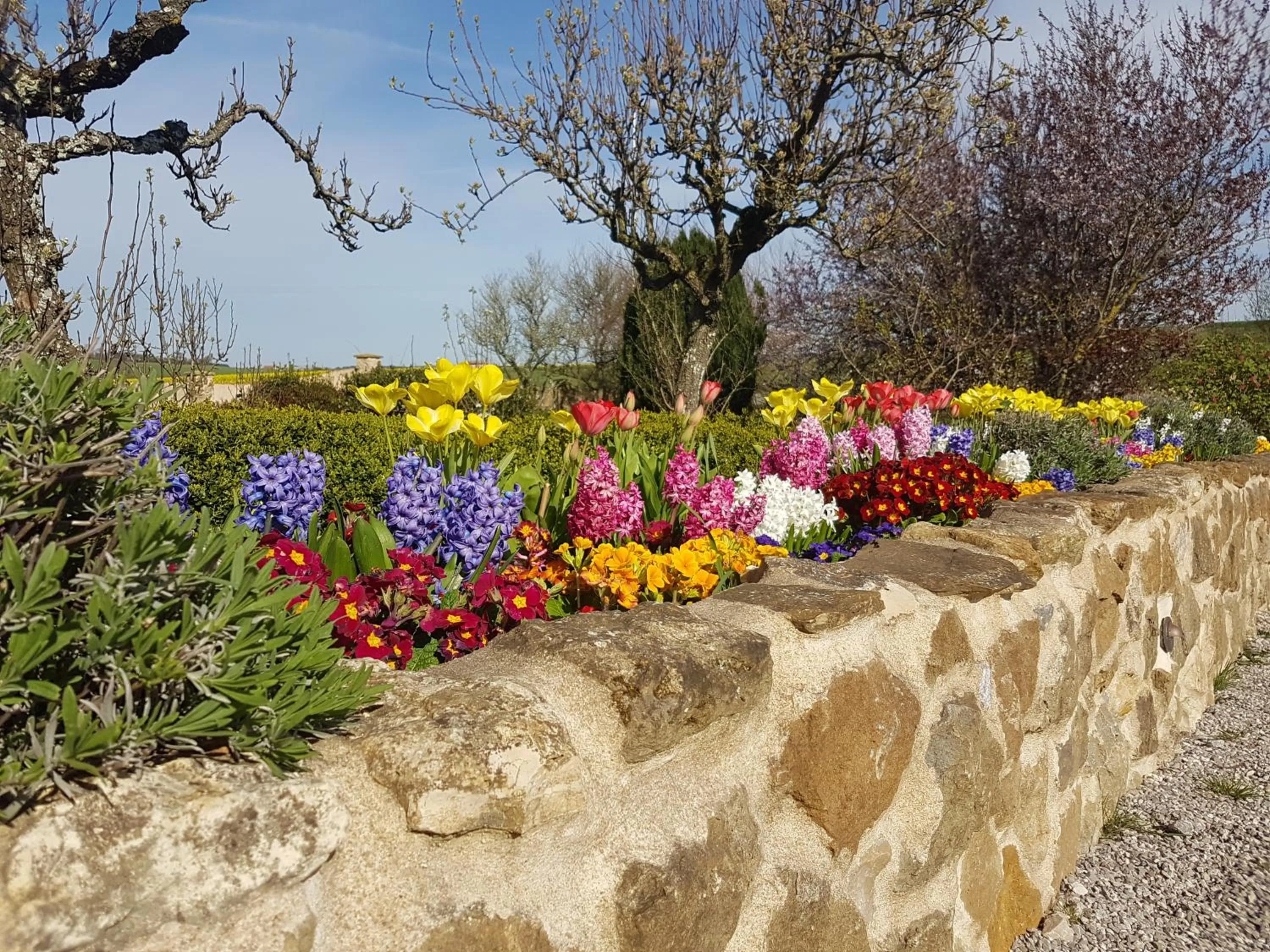 Patio in Le clos de Tournes