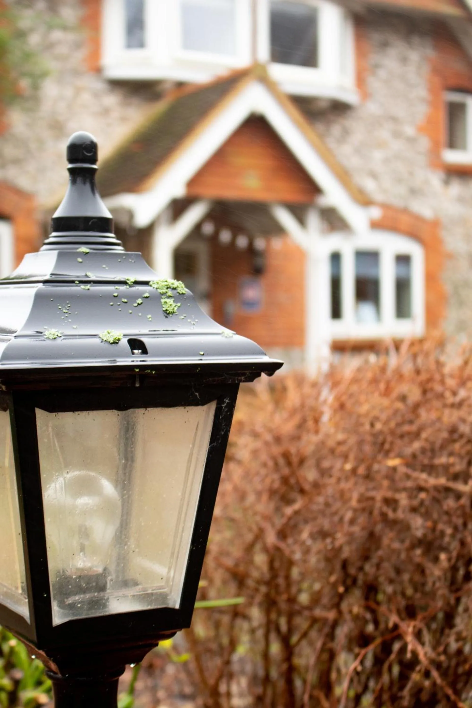 Garden in Stonehenge Hostel