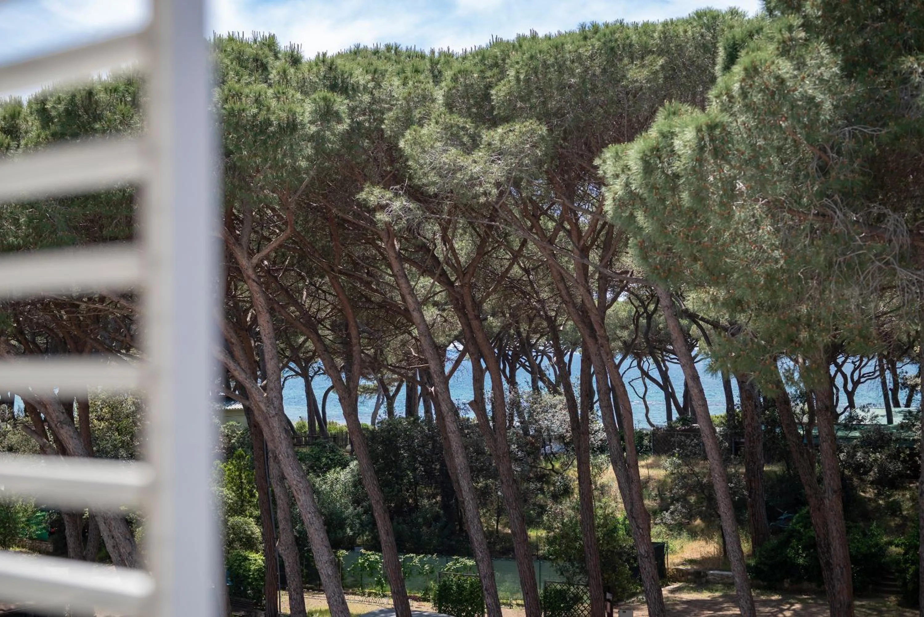 Natural landscape in Hotel La Pineta