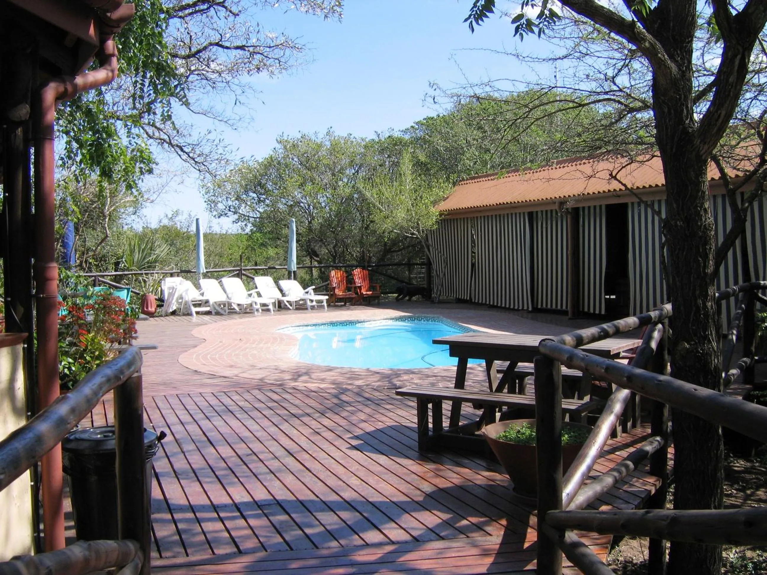 Pool view in Isinkwe Bush Camp