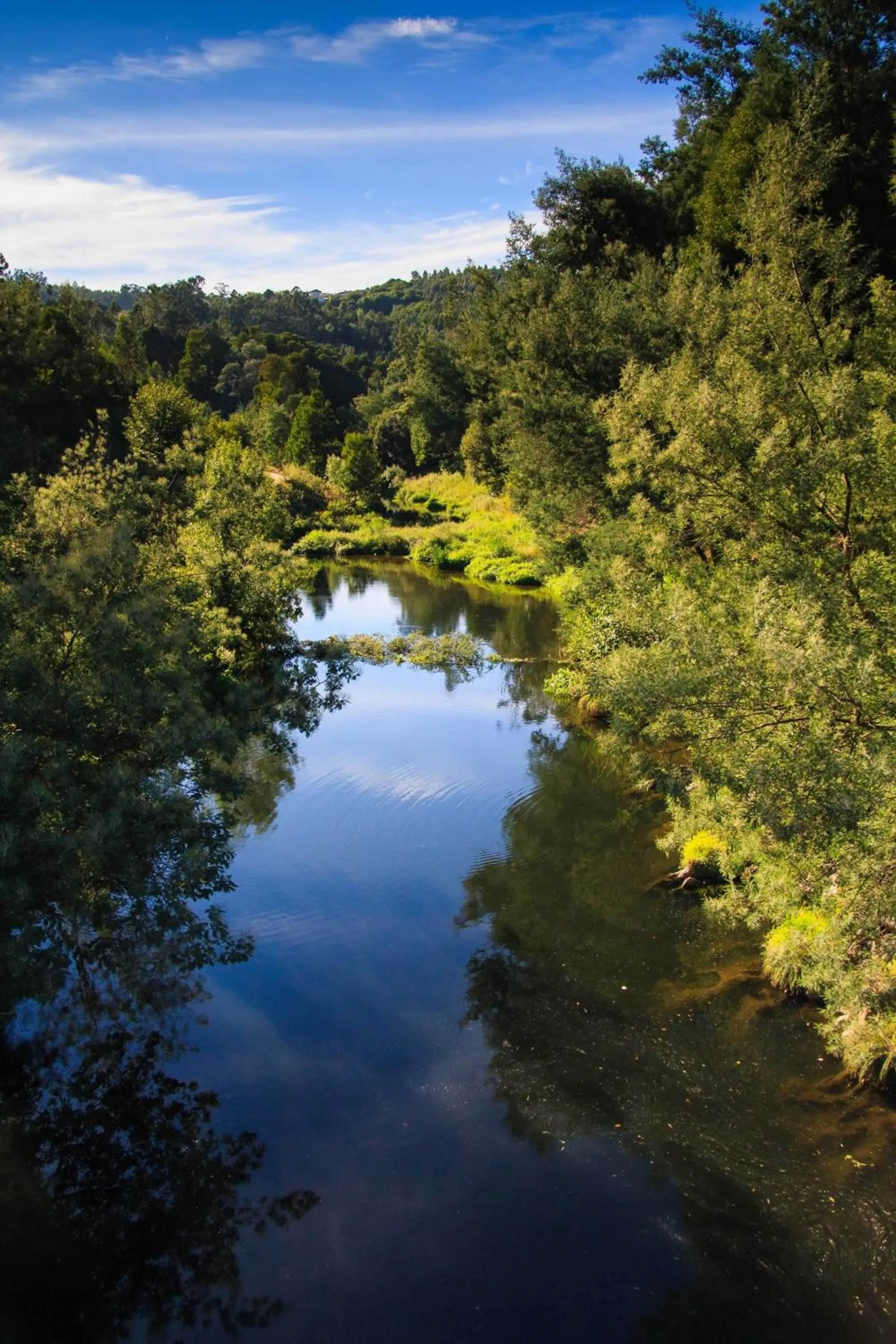 Area and facilities in Hotel Rural Vale Do Rio