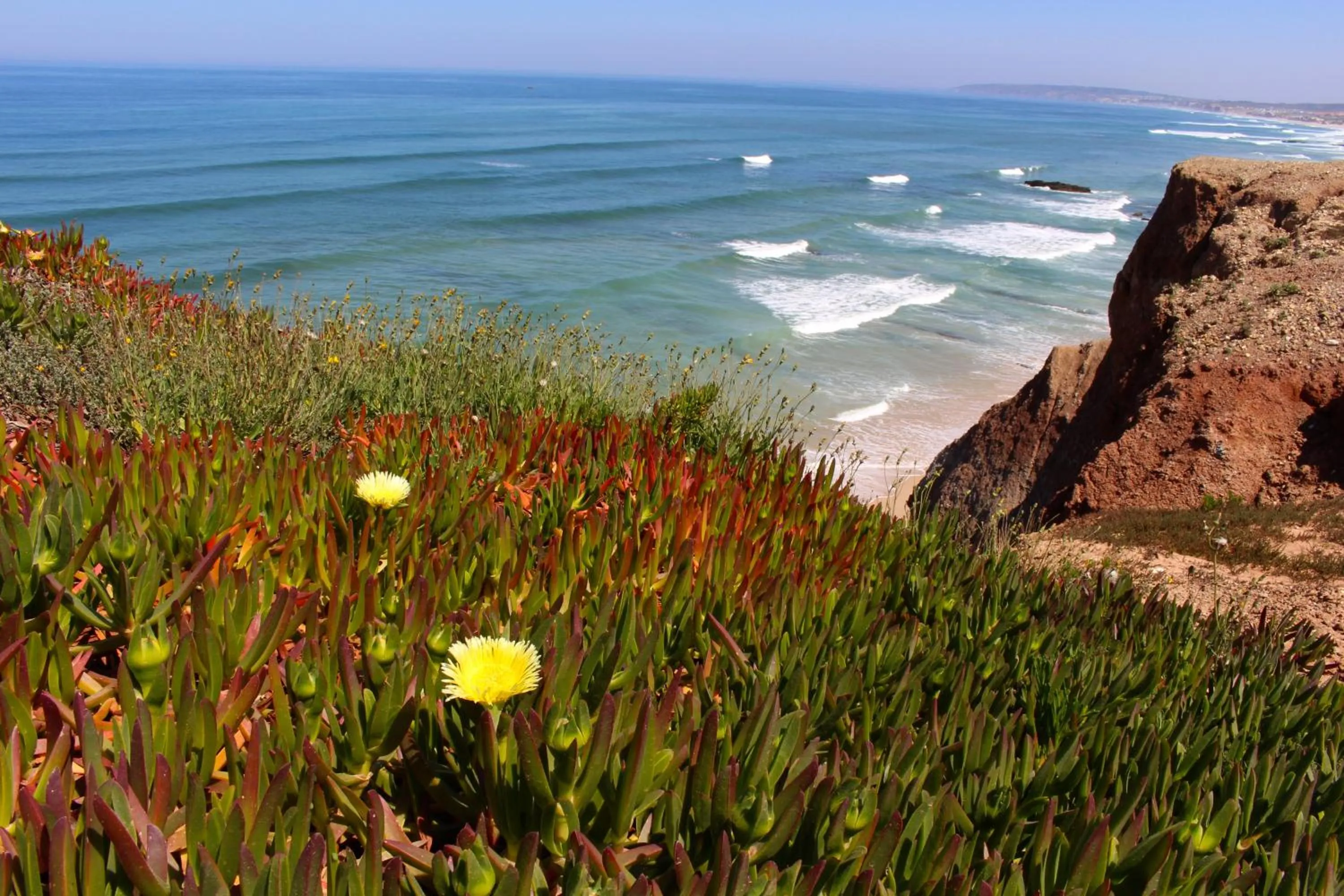 Natural landscape in Captain's Log House