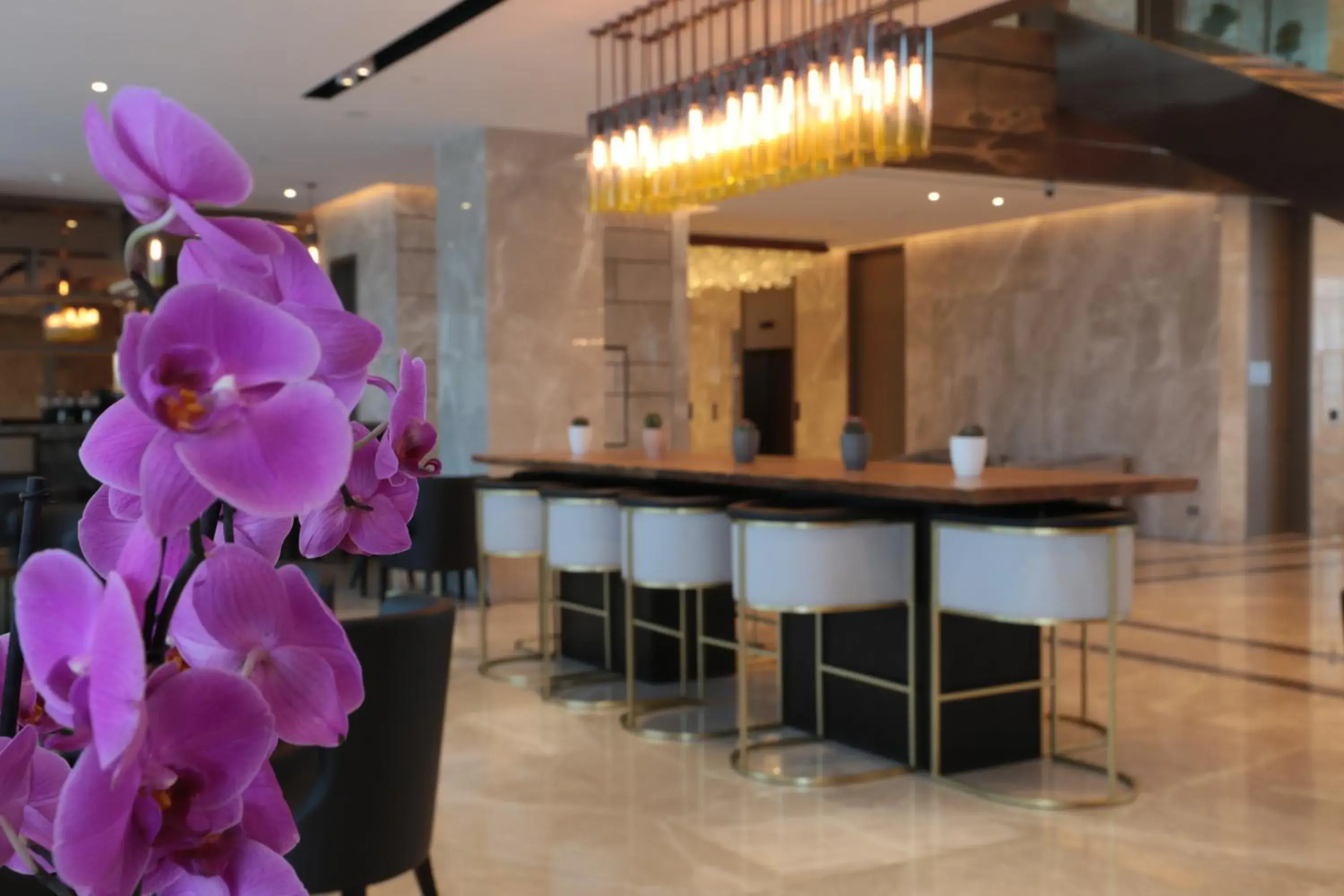 Lounge or bar in Views Hotel & Residences - Emaar King Abdullah Economic City Lounge or bar in Views Hotel & Residences - Emaar King Abdullah Economic City