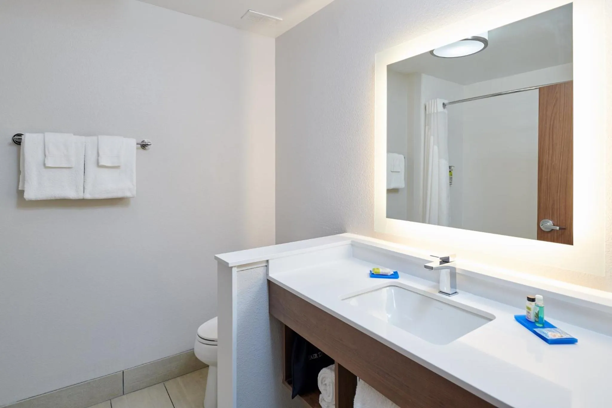 Bathroom in Holiday Inn Express & Suites El Paso East-Loop 375 by IHG