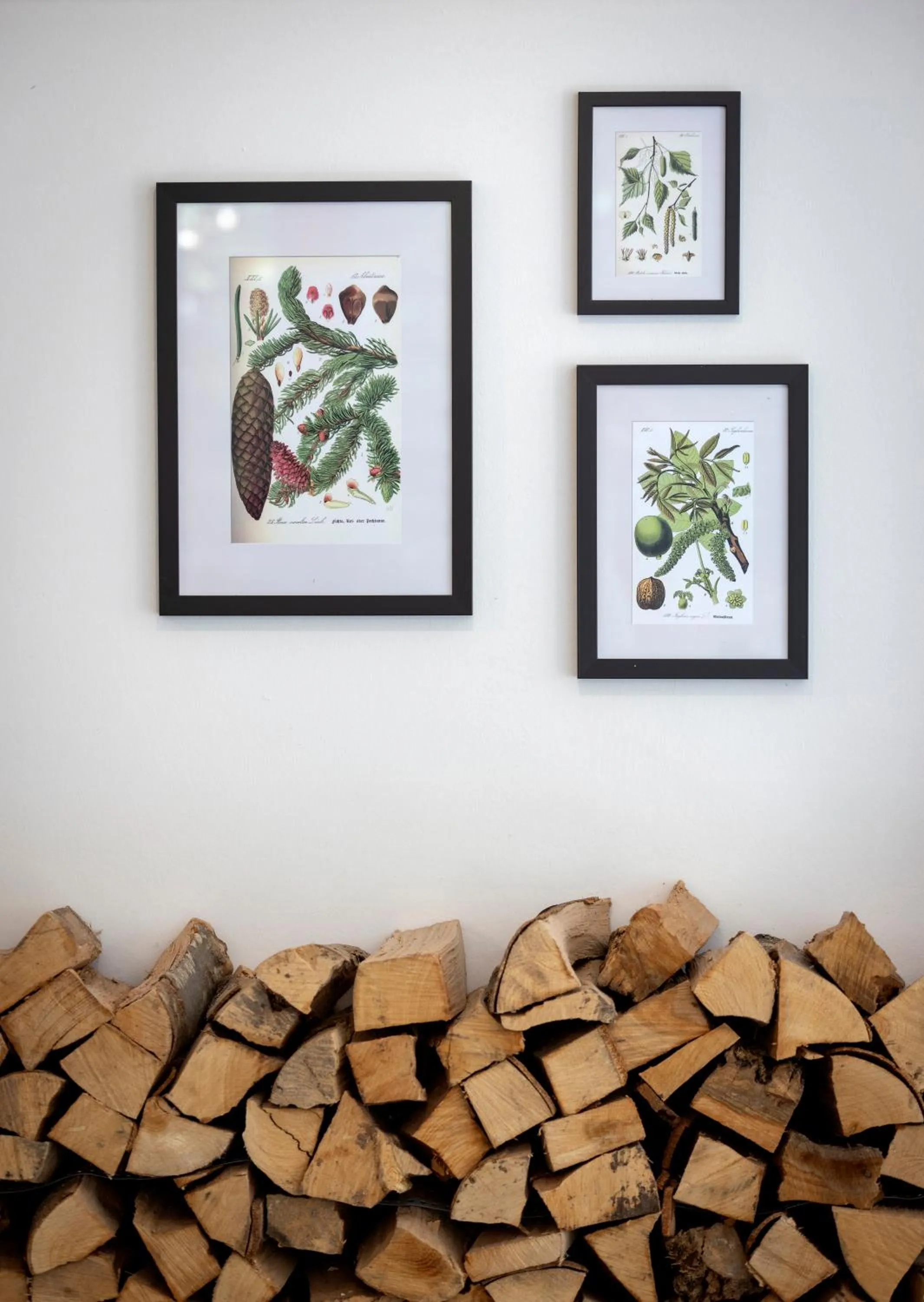 Other in JUFA Hotel Bruck an der Mur - im Weitental