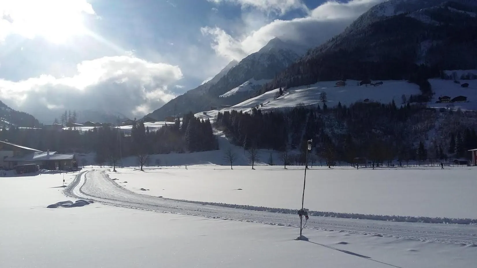 Garden view in Alphotel Mittersill