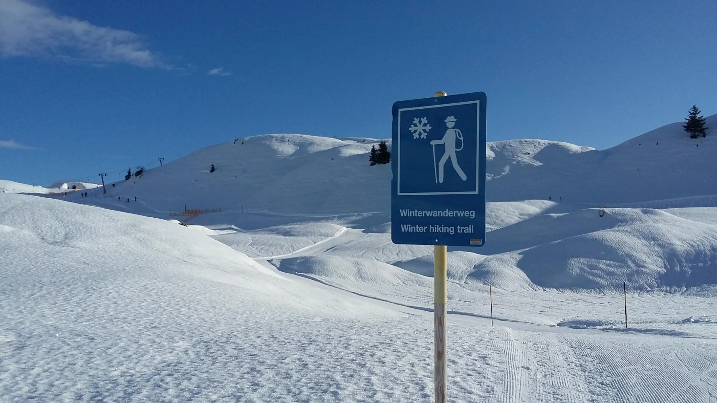 Hiking in Alphotel Mittersill