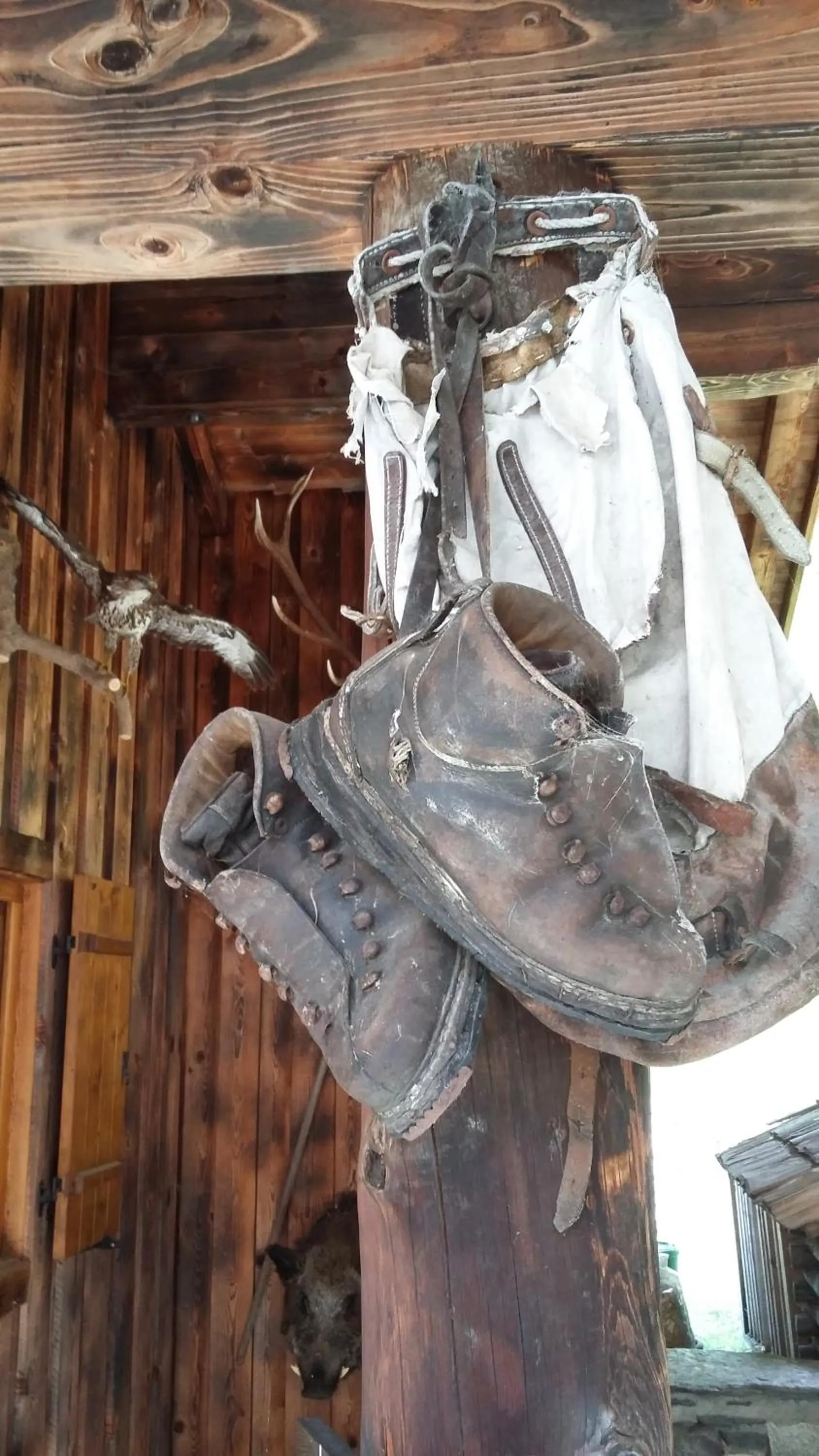 Area and facilities in Alphotel Mittersill