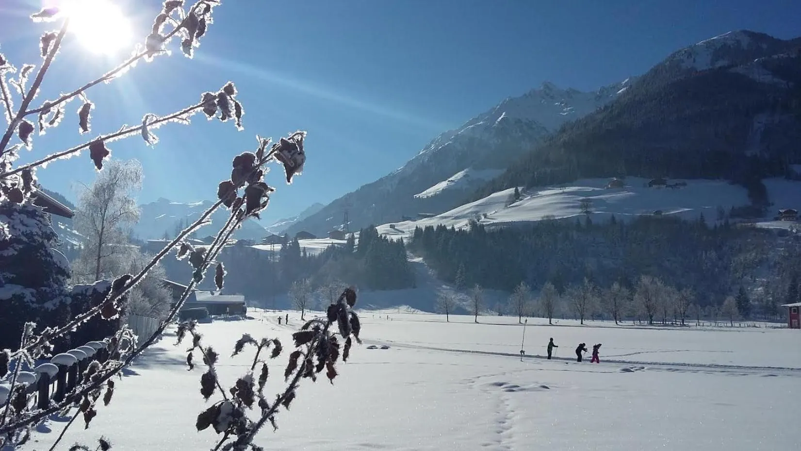 Natural landscape in Alphotel Mittersill