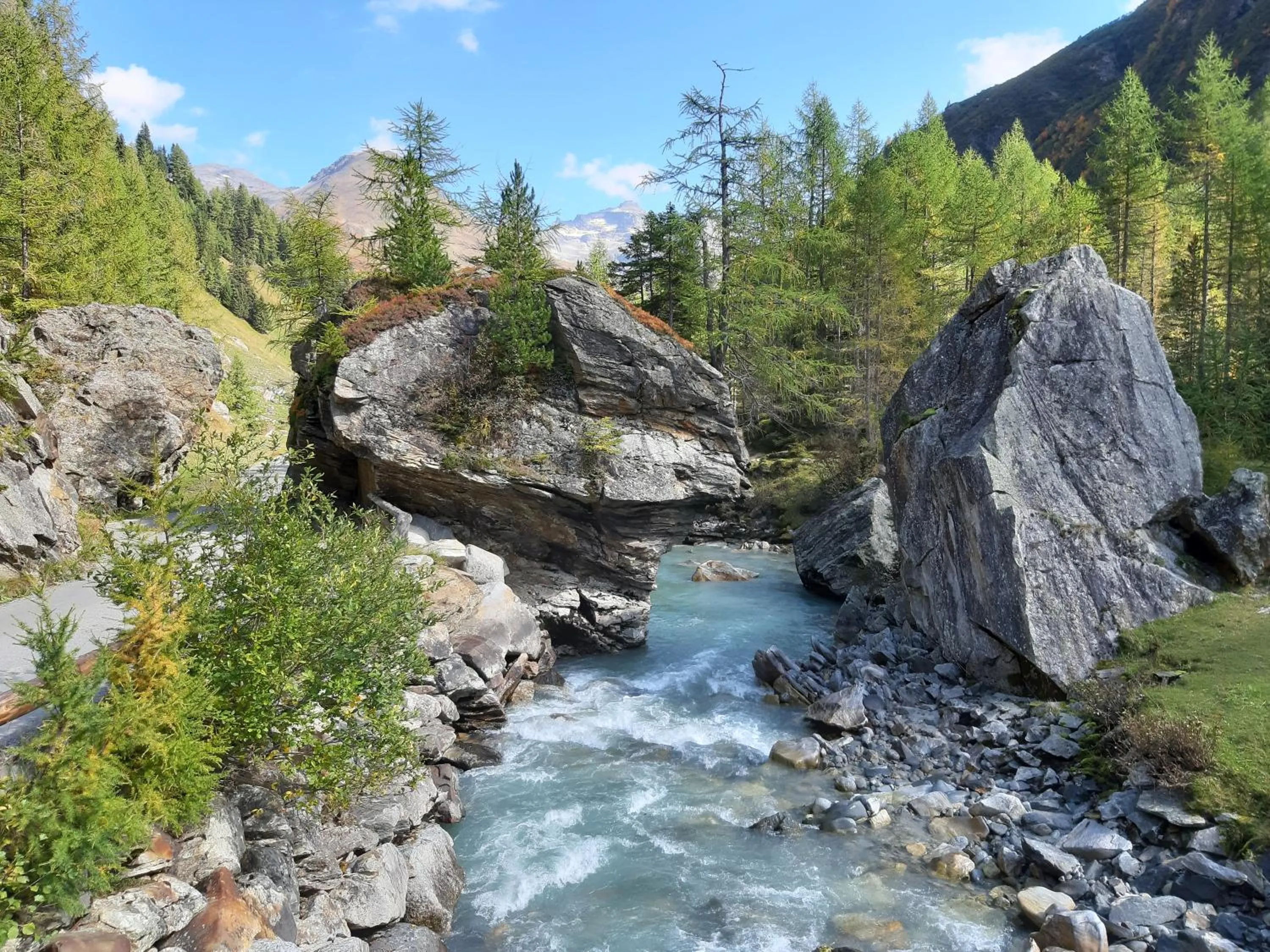 Natural landscape in Alphotel Mittersill