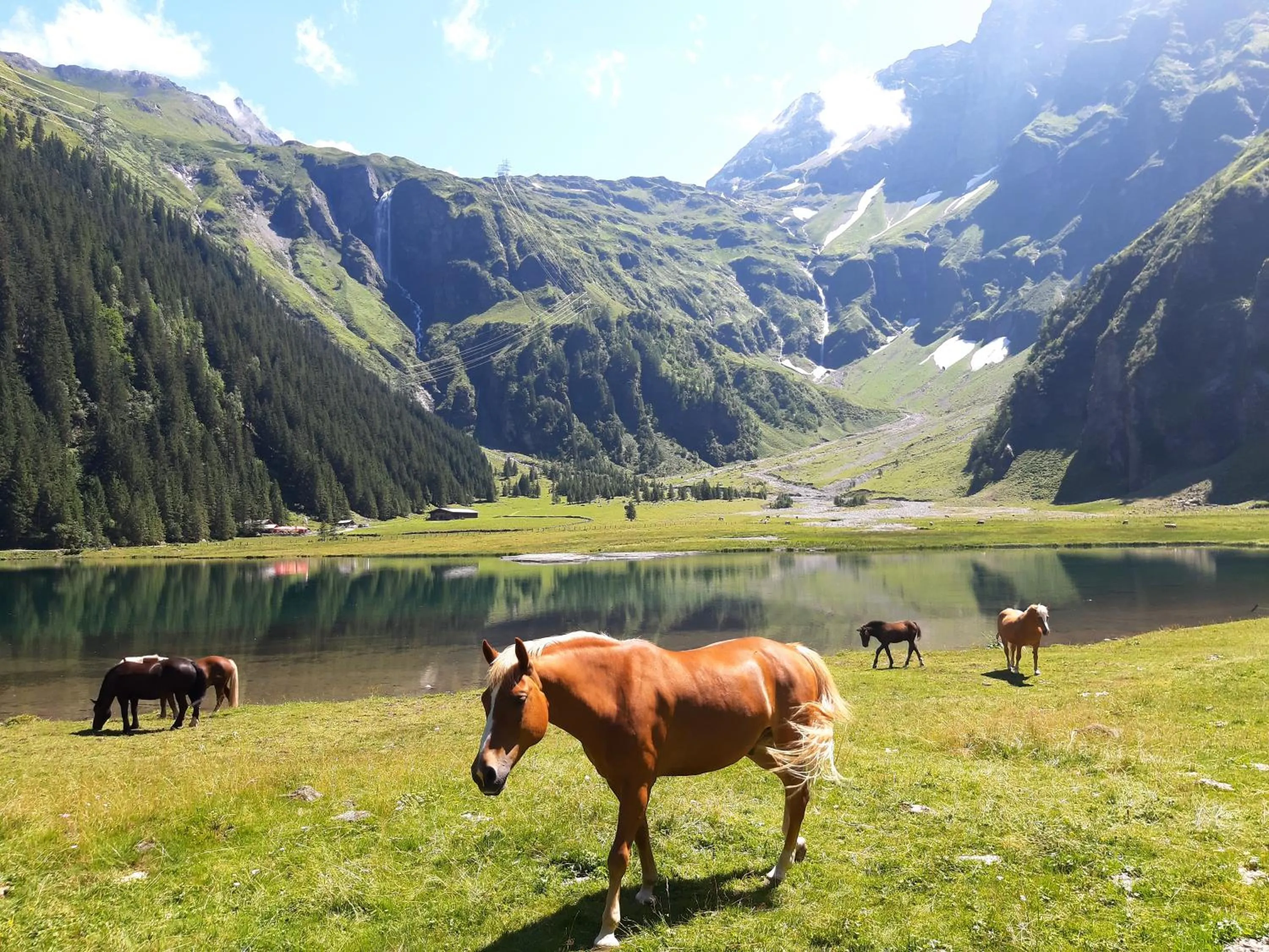Staff in Alphotel Mittersill
