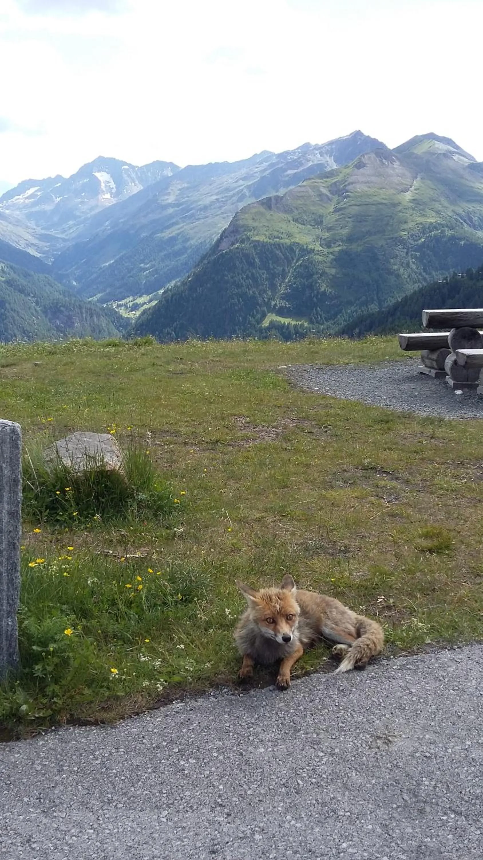 Nearby landmark in Alphotel Mittersill